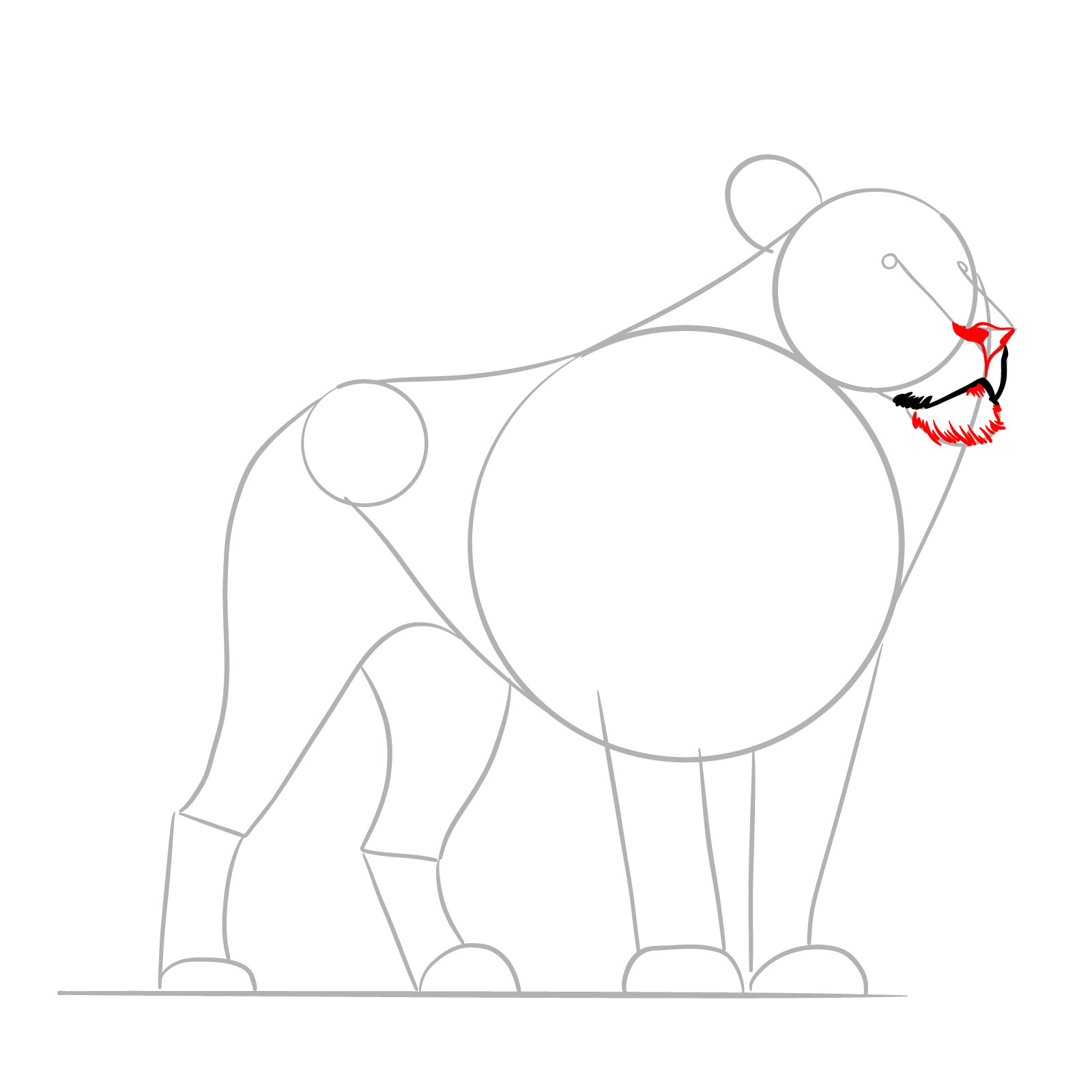 Illustrating the chin, nose, and mouth details in a standing lion drawing process - step 04