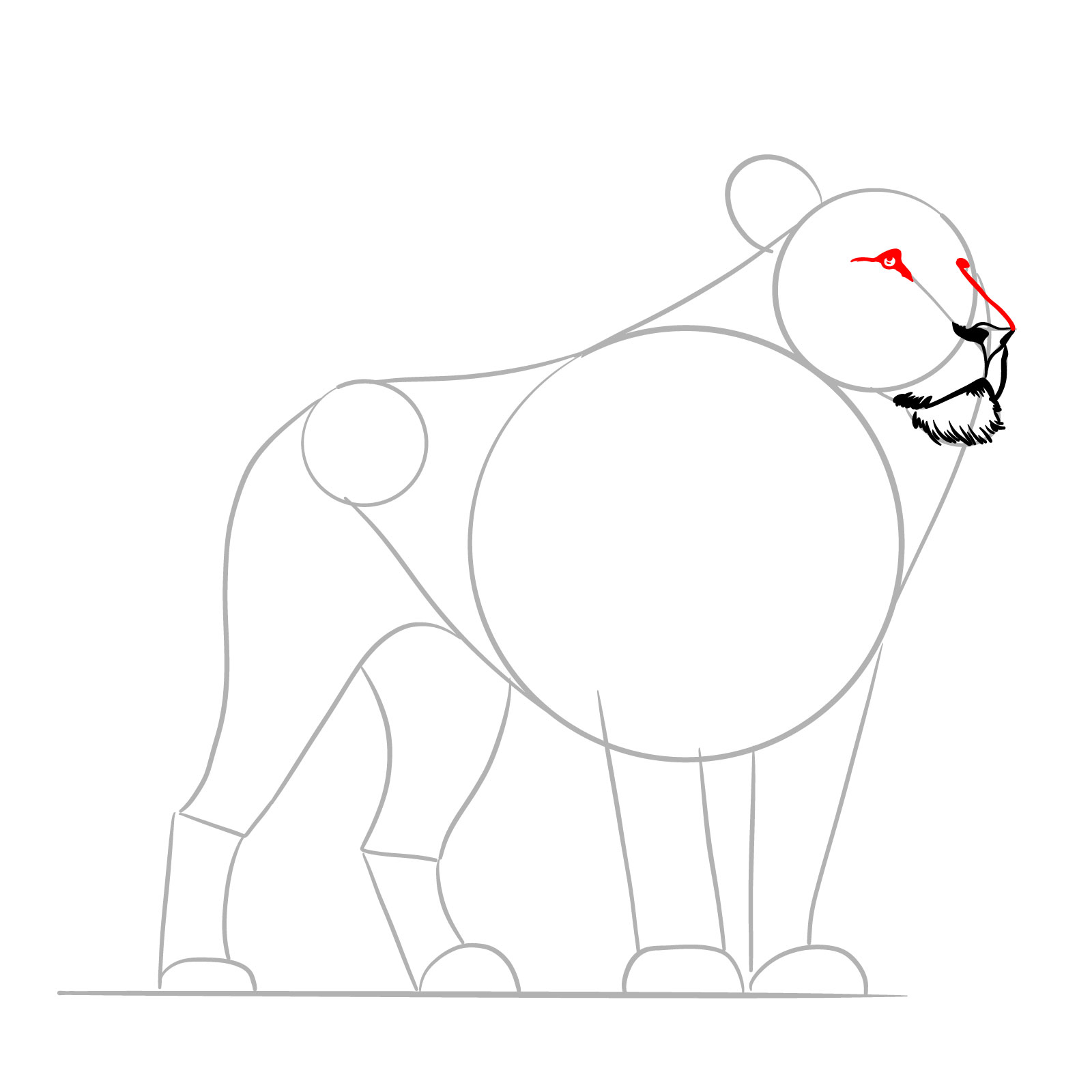 Detailed eyes and nose bridge in a standing lion drawing step - step 05