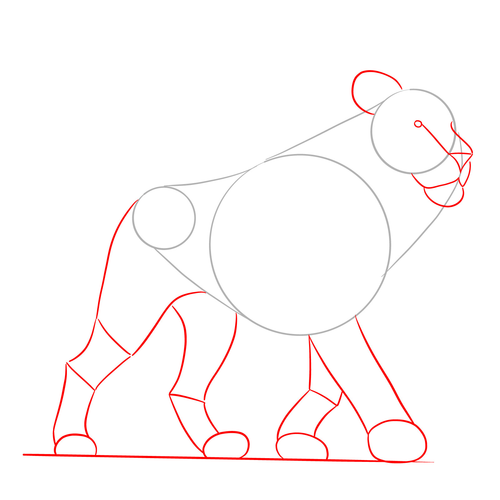 Walking lion drawing showing initial leg shapes and facial guidelines - step 02