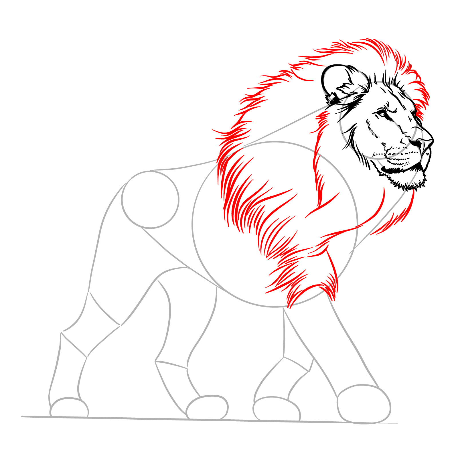 How to draw the main part of a lion's mane - step 08
