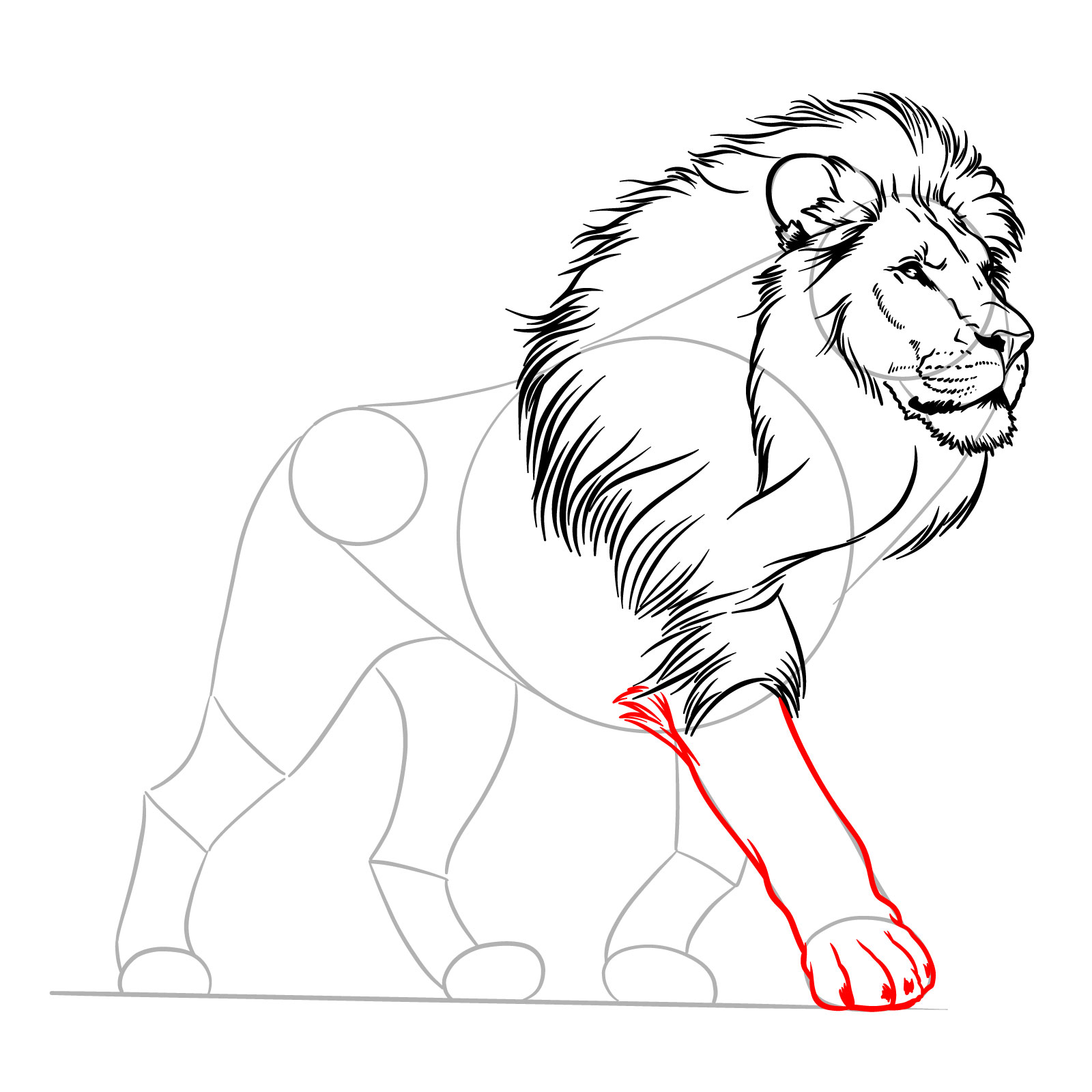 Detailing the front right leg in a walking lion drawing - step 09