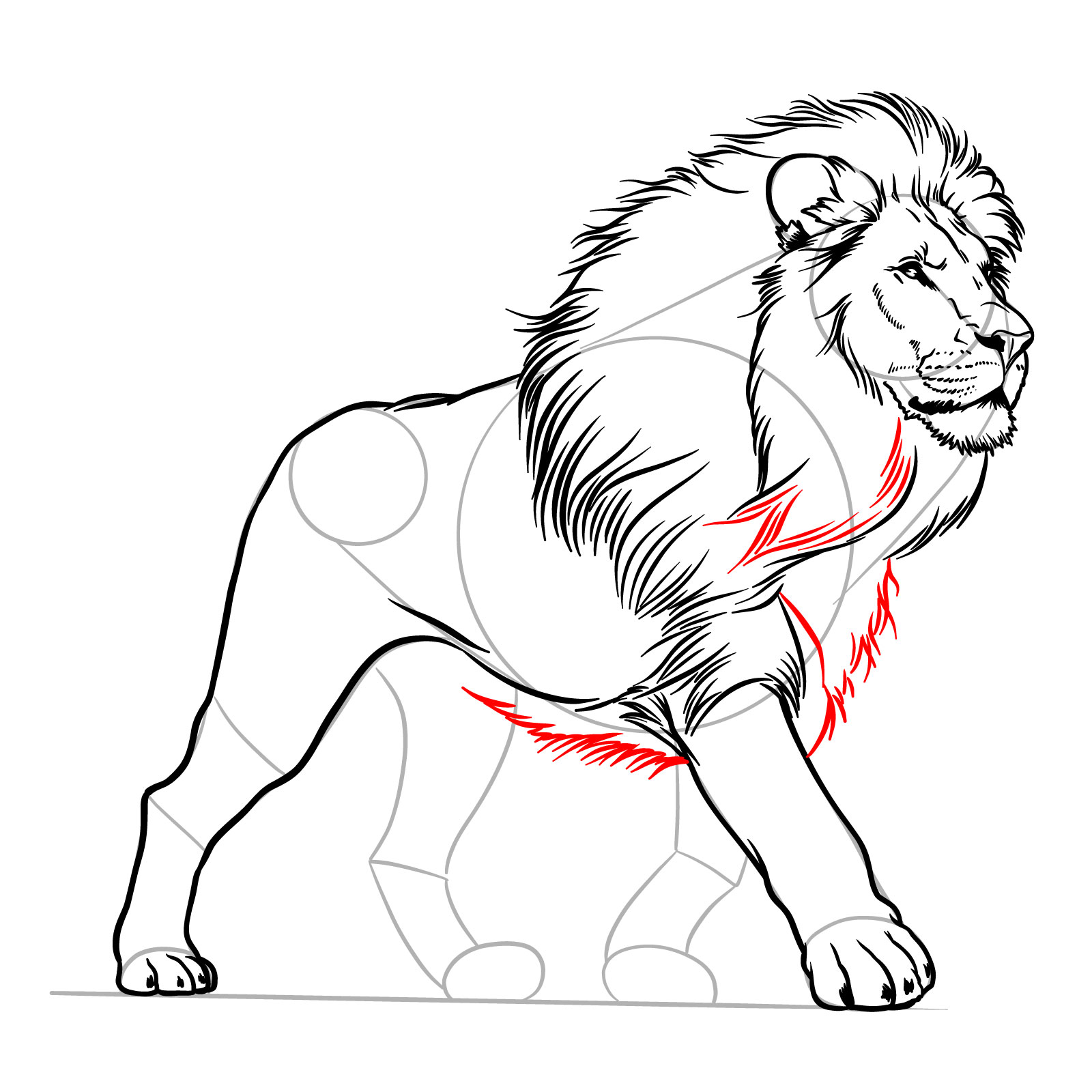 How to draw a walking lion's mane fur in neck and chest - step 12