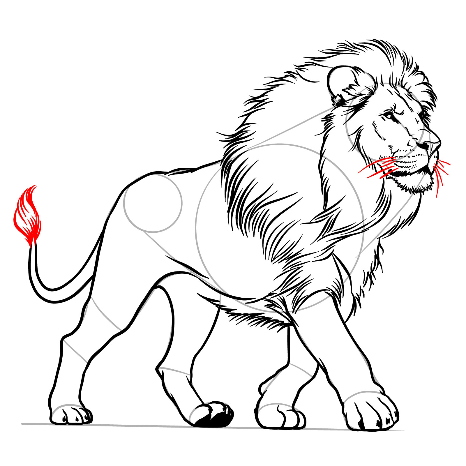 Adding the tuft and whiskers to a walking lion sketch - step 15