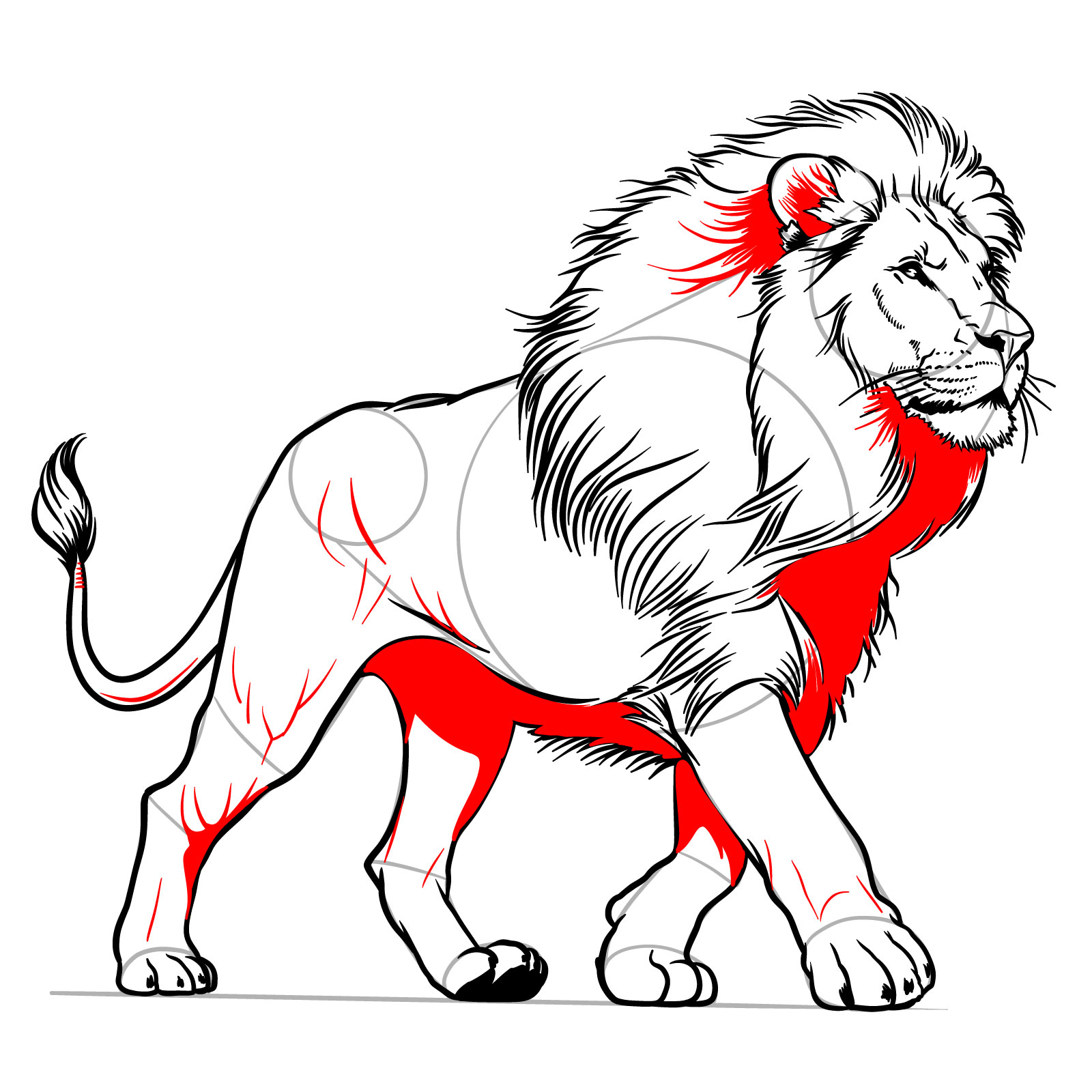How to draw a walking lion with shading and detailing - step 16
