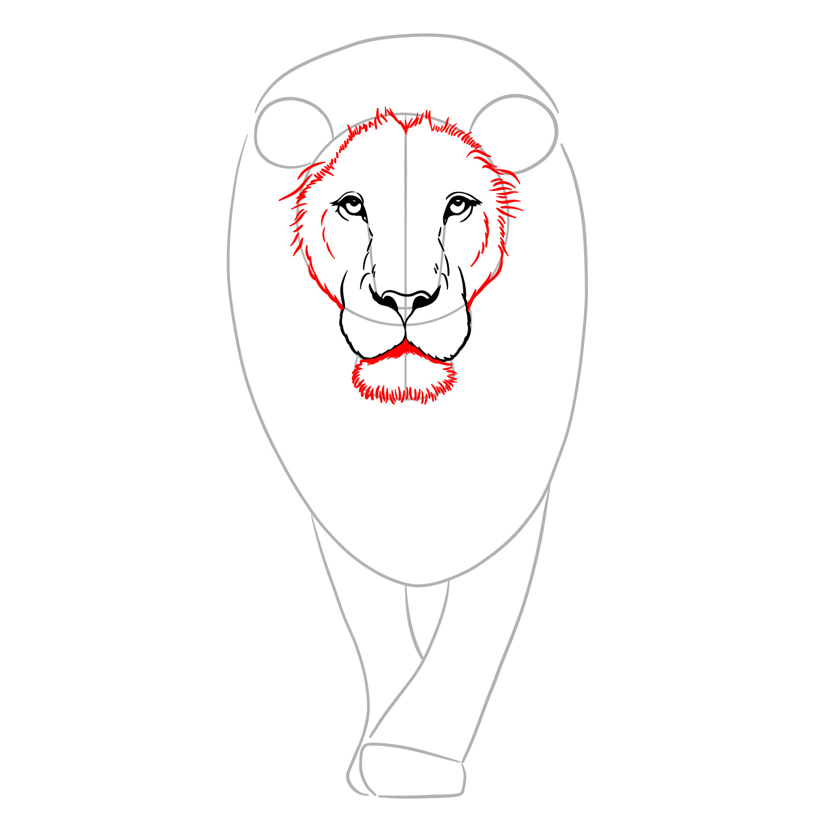 Sketching chin and face frame fur in a lion drawing - step 06