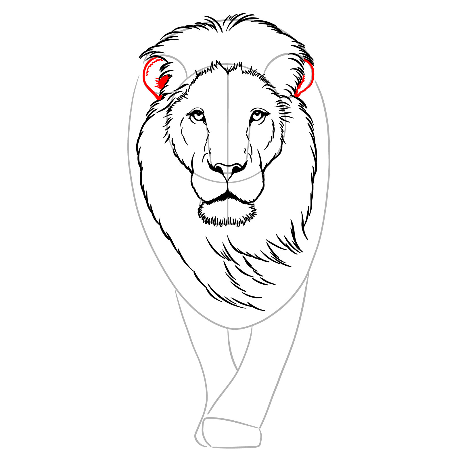 Detailing the ears in a walking lion's head sketch - step 08
