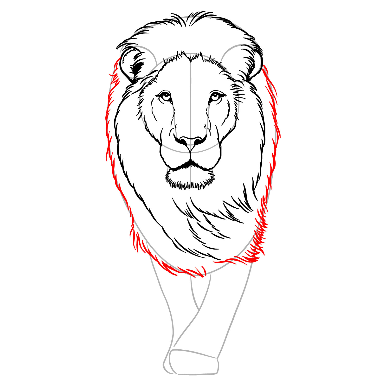 Adding mane details to a front-view walking lion drawing - step 09