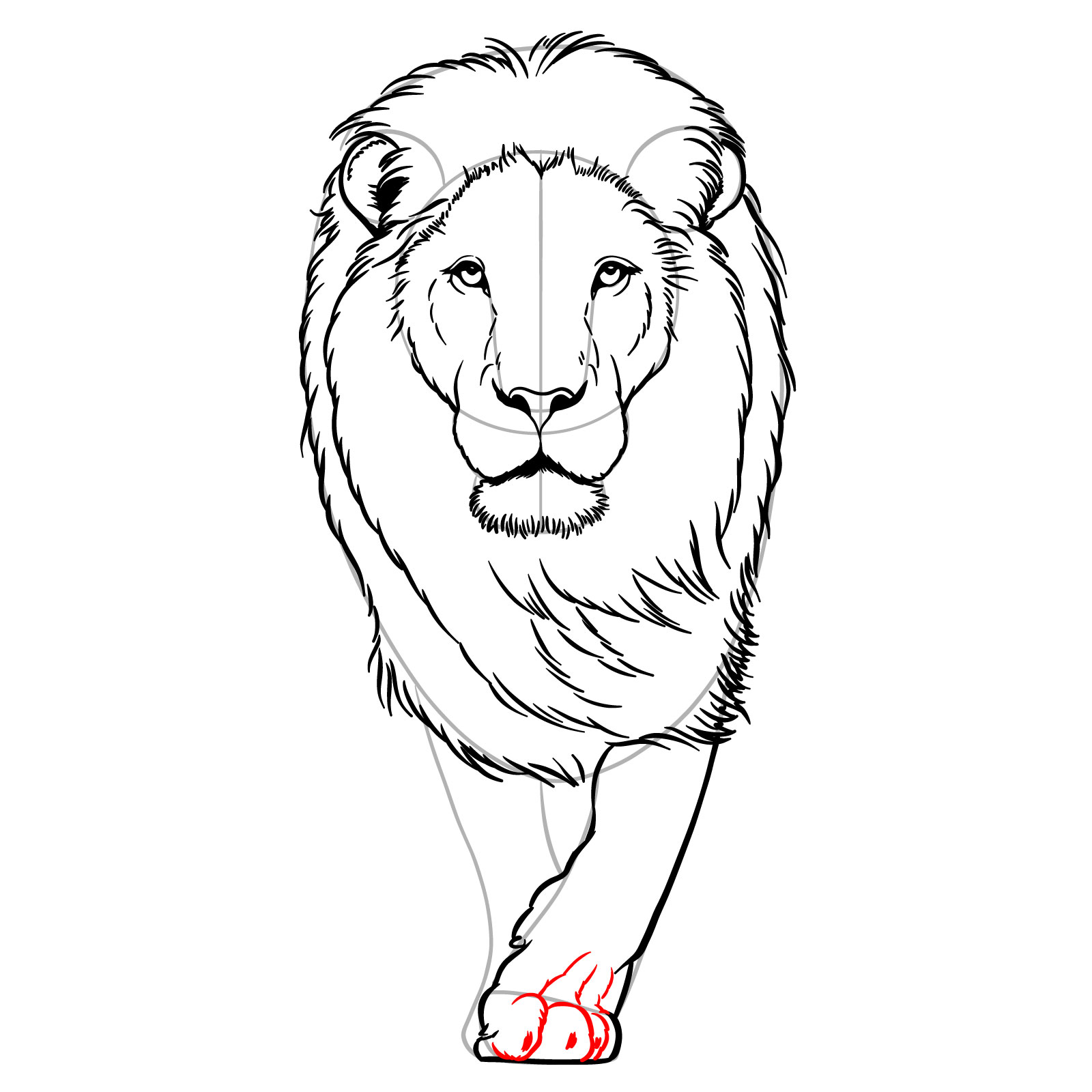 Sketching the paw, toes, and claws of a walking lion's front leg - step 11