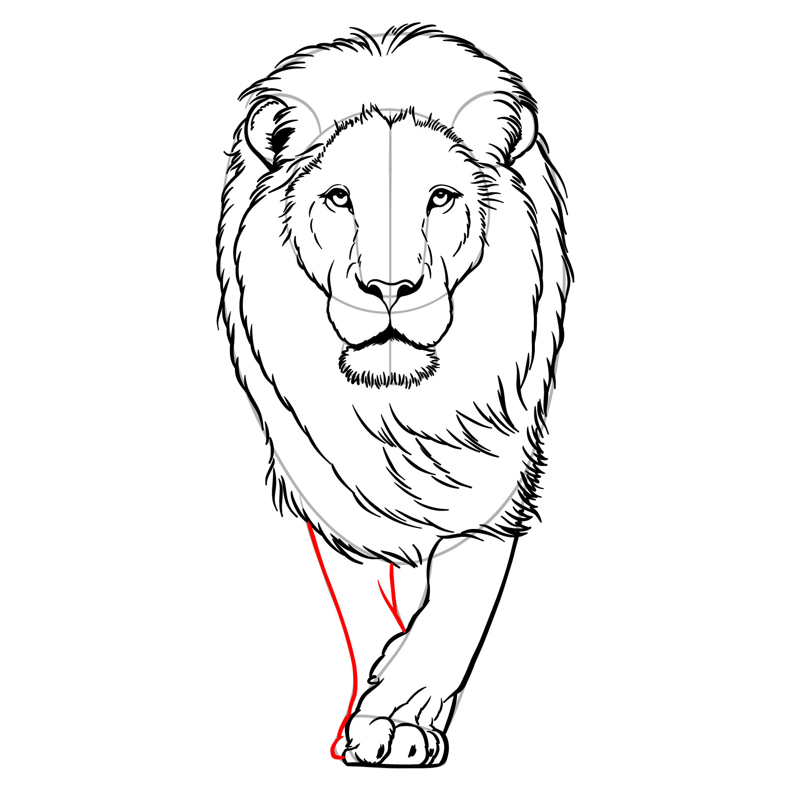 Adding the second front leg to the walking lion drawing - step 12