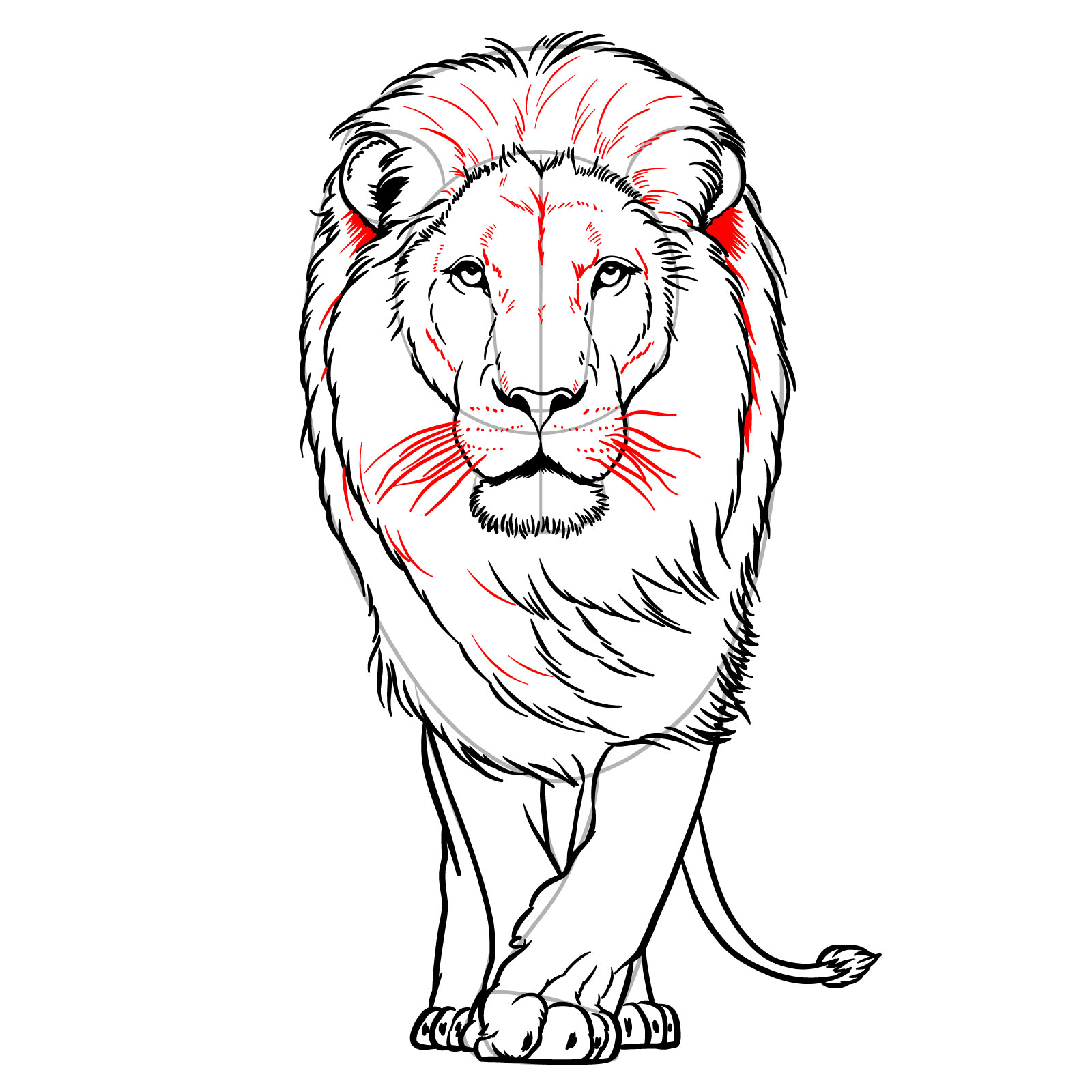 How to draw a walking lion's whisker marks, whiskers, and face details - step 14