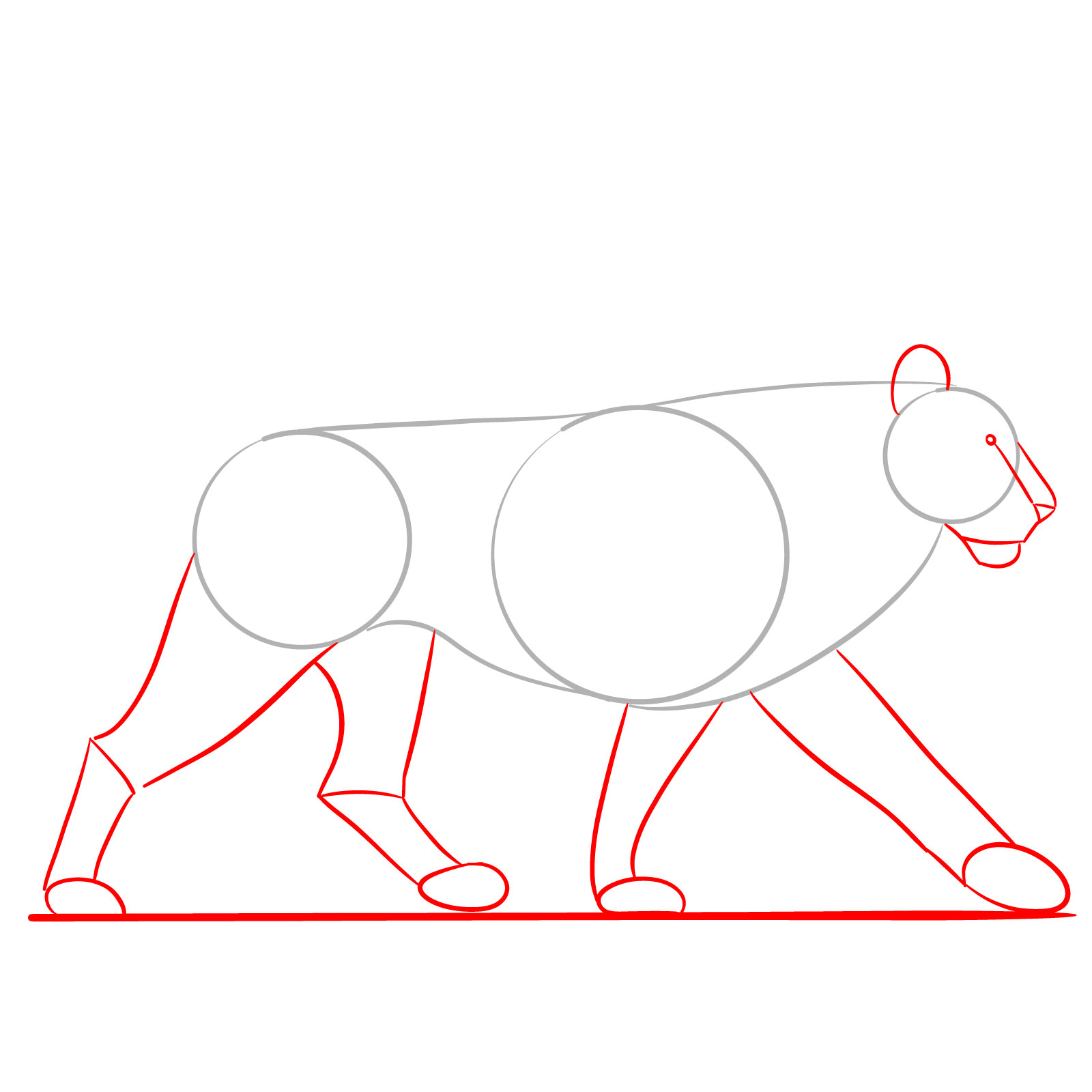 Step 2 in drawing a walking lion, adding details to the head and limbs