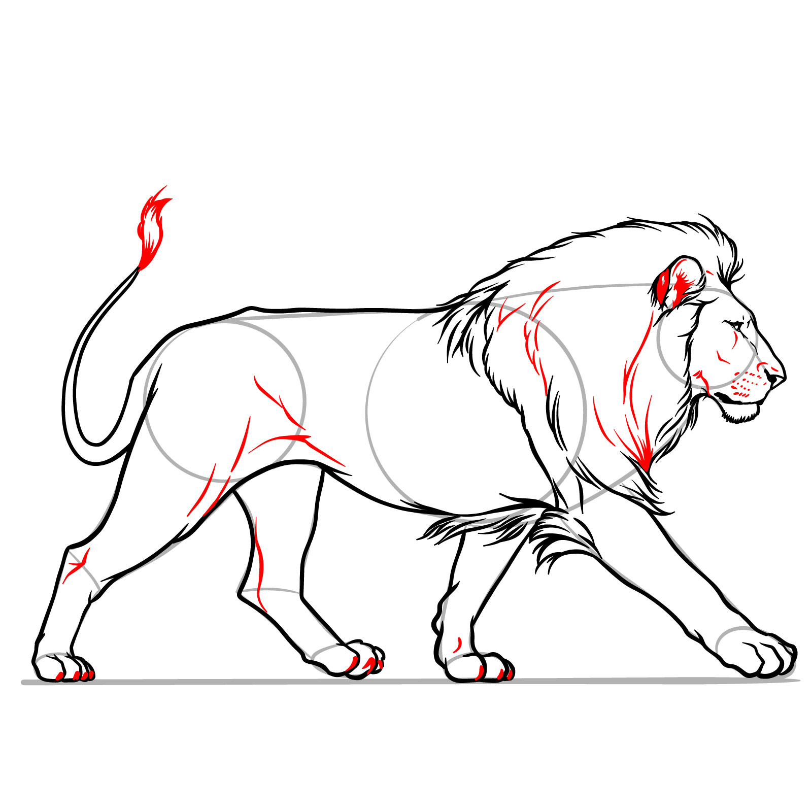 Detailed instruction for adding final touches to a walking lion drawing - step 11