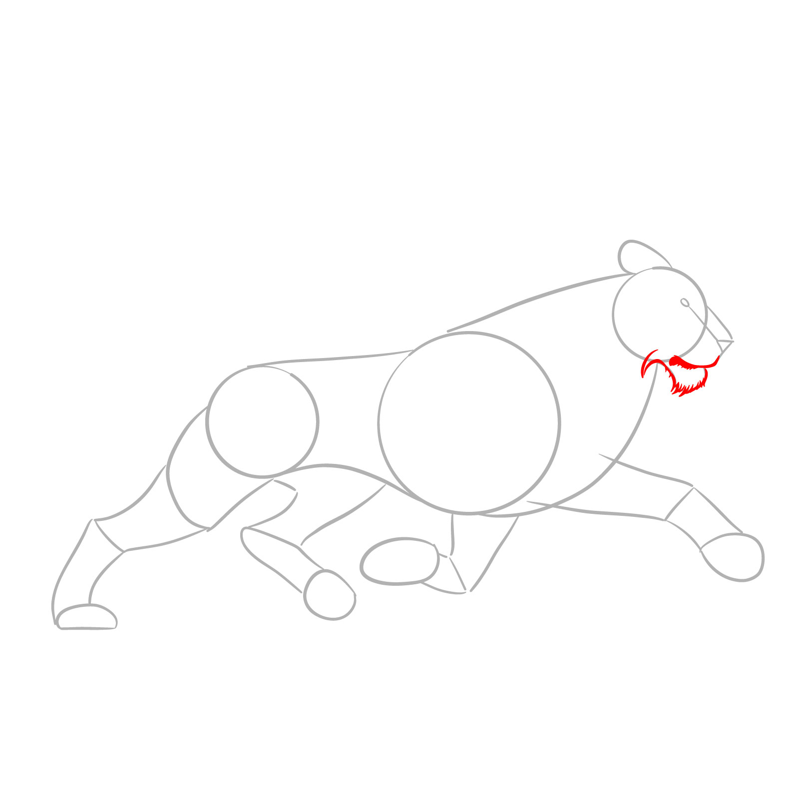 Detailing the lower face of a running lion in side view - step 03