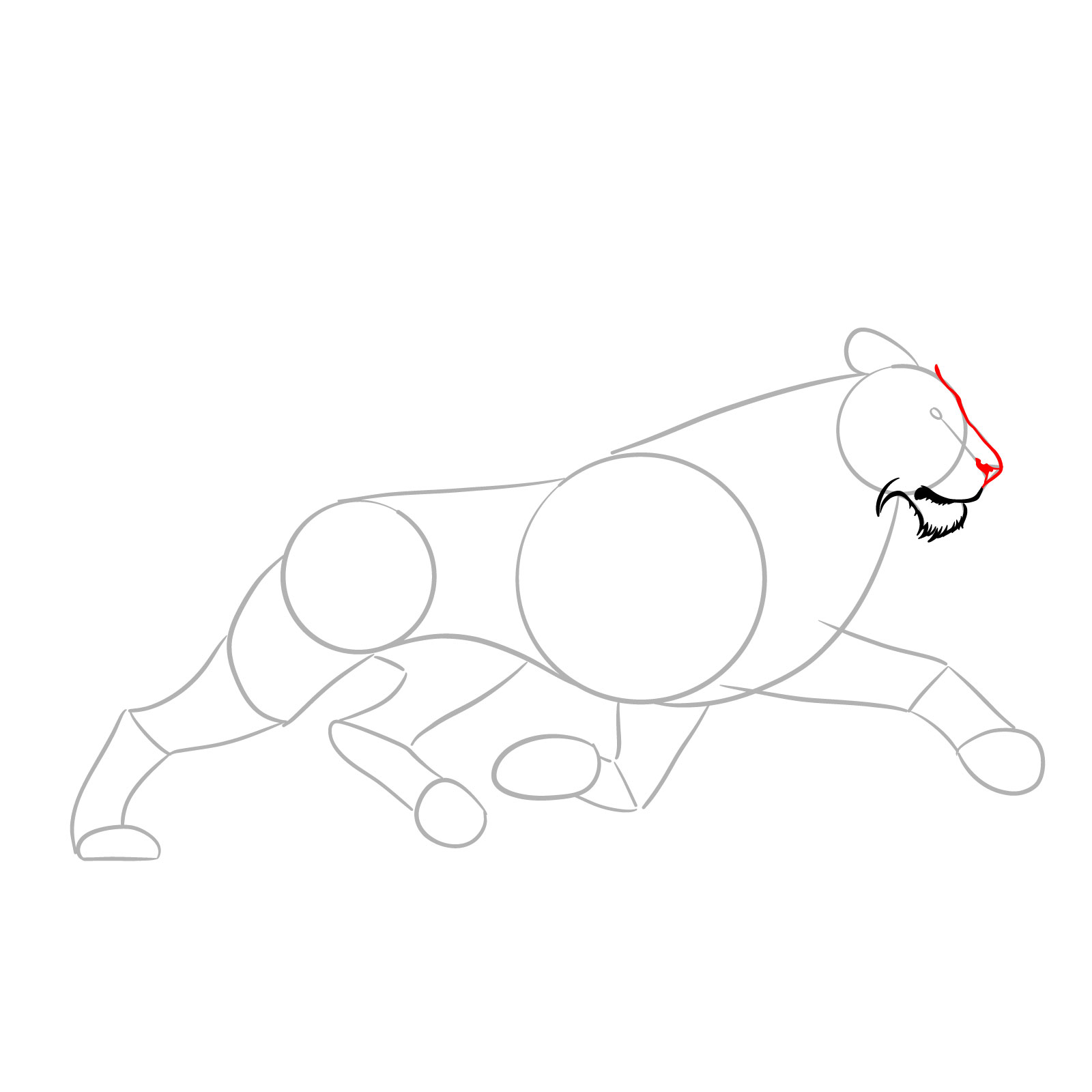 Defining the upper facial features of a running lion - step 04
