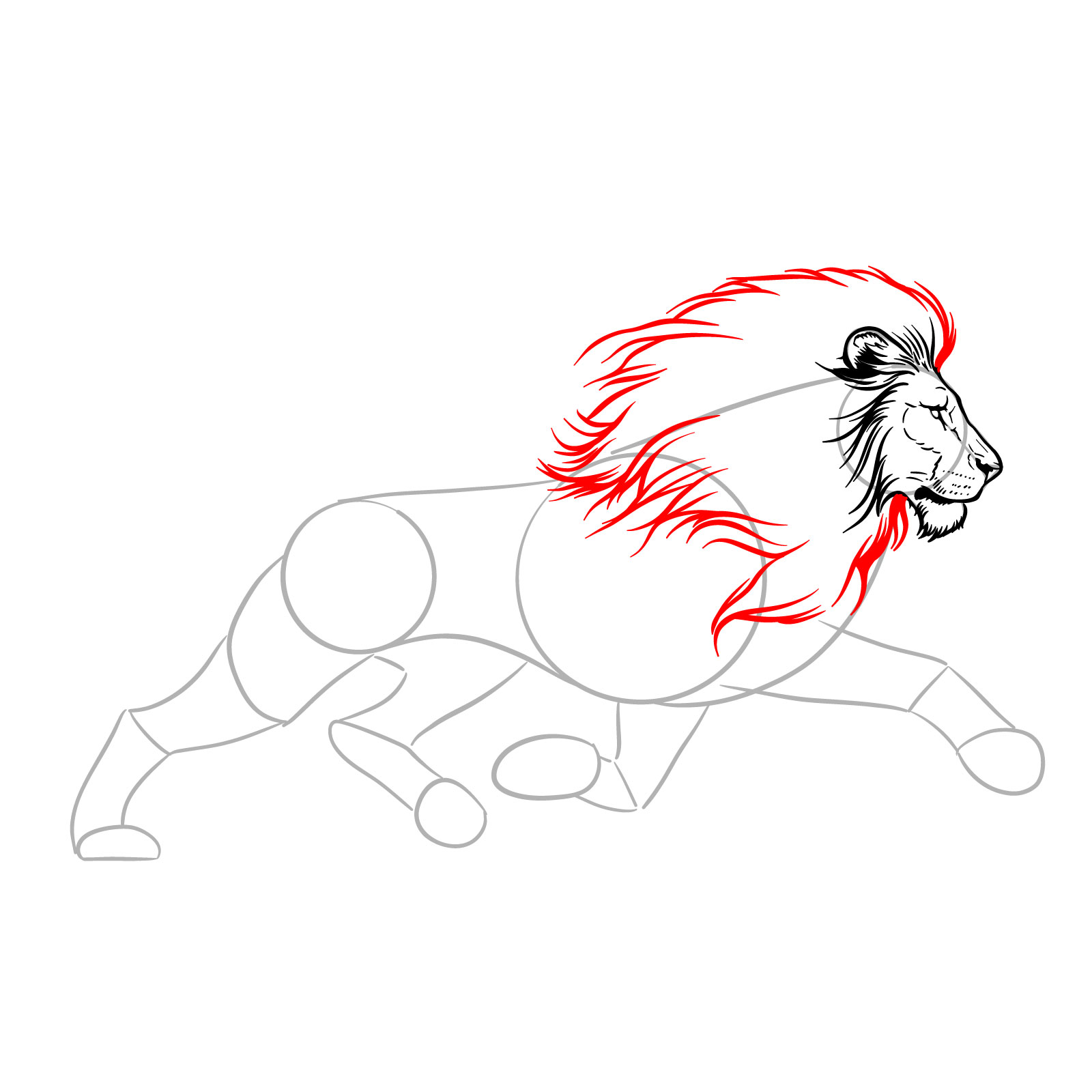 Drawing the mane of a running lion in side profile - step 08