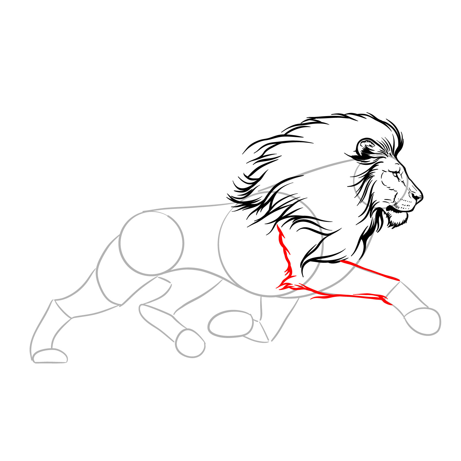 Sketching the initial segment of a lion's front leg in motion - step 09