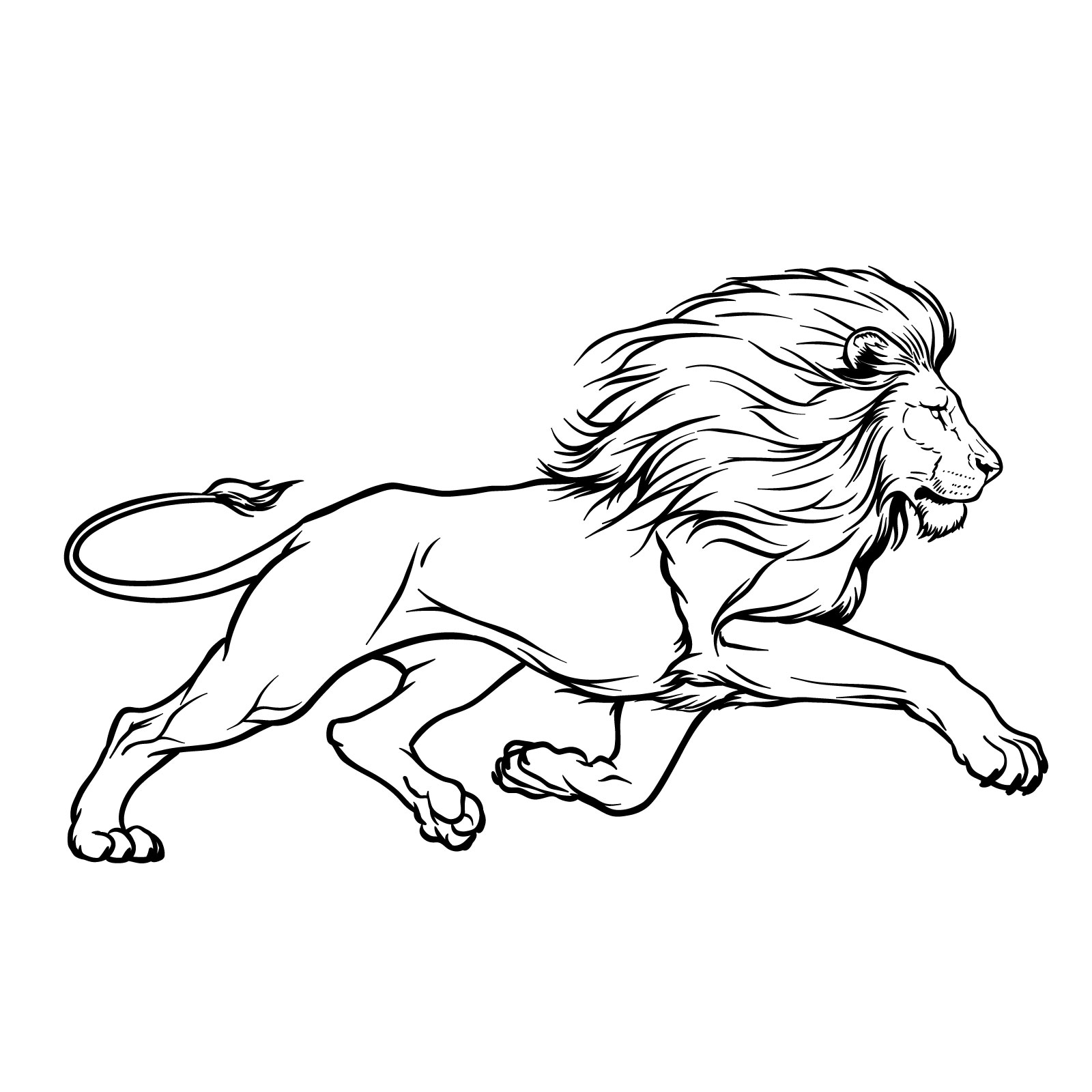 Easy drawing of a running lion - step-by-step guide