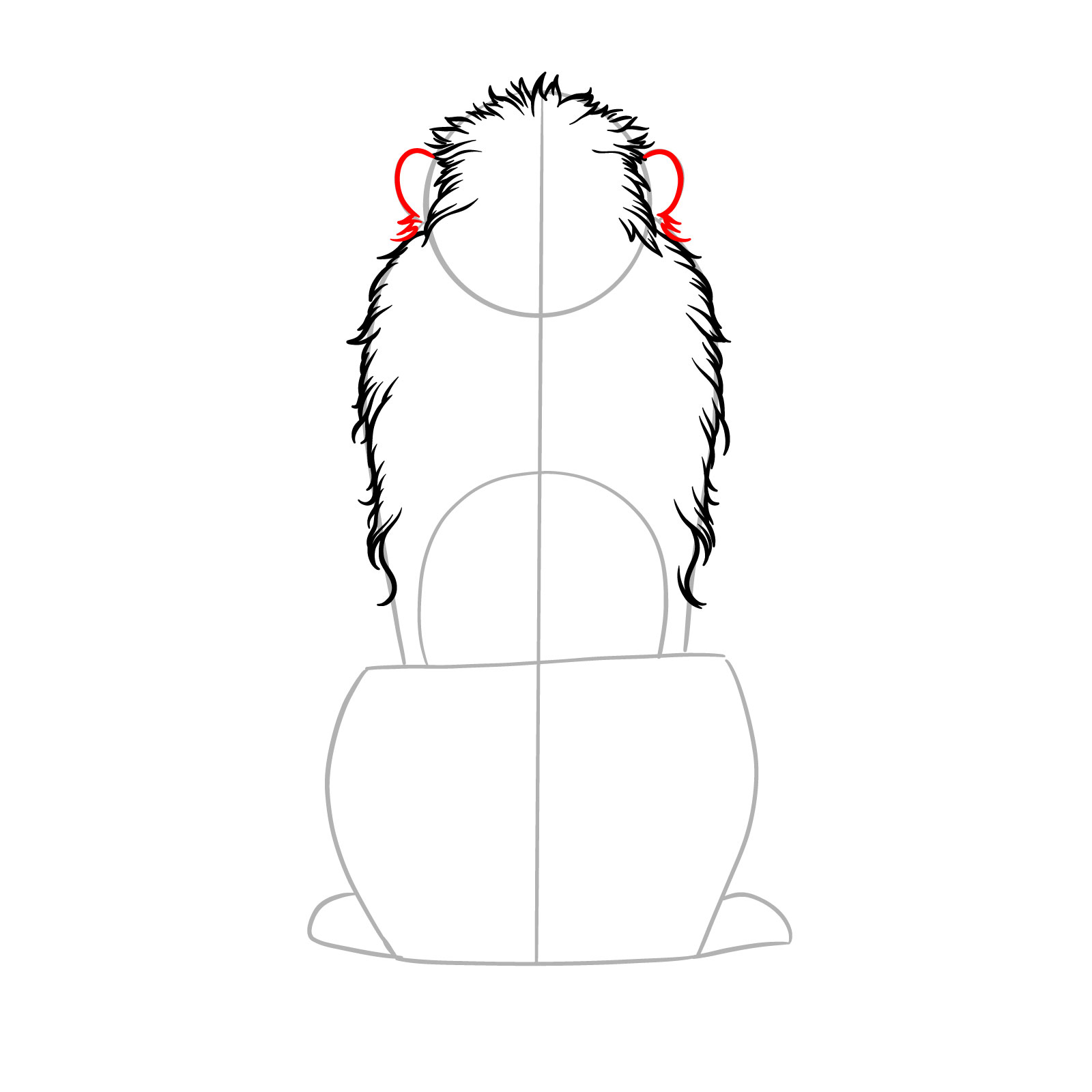 Step 5 in drawing a sitting lion from the back view, outlining ears with fur details