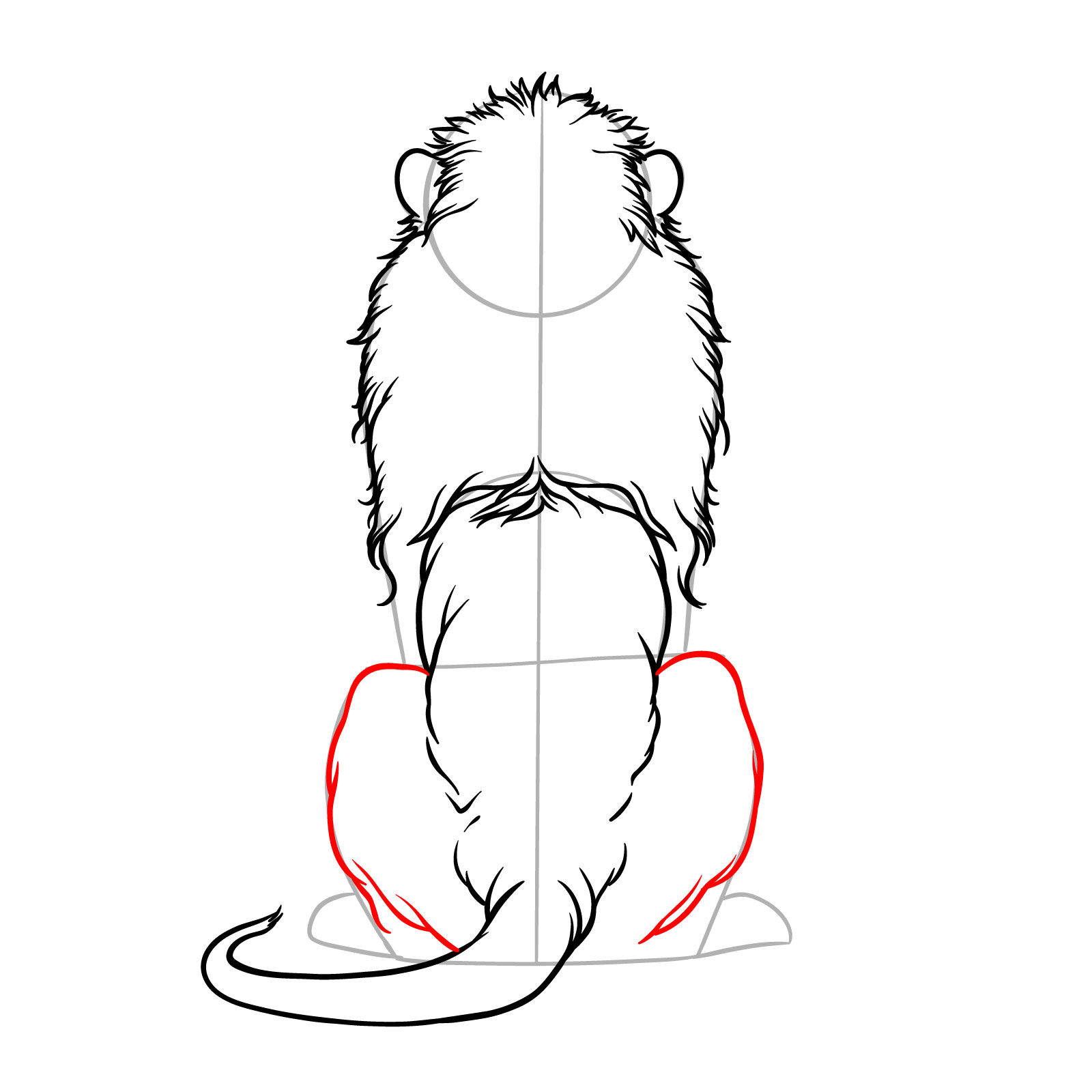 Step 8 in the guide for drawing a sitting lion from the back view, outlining rear legs to the joints
