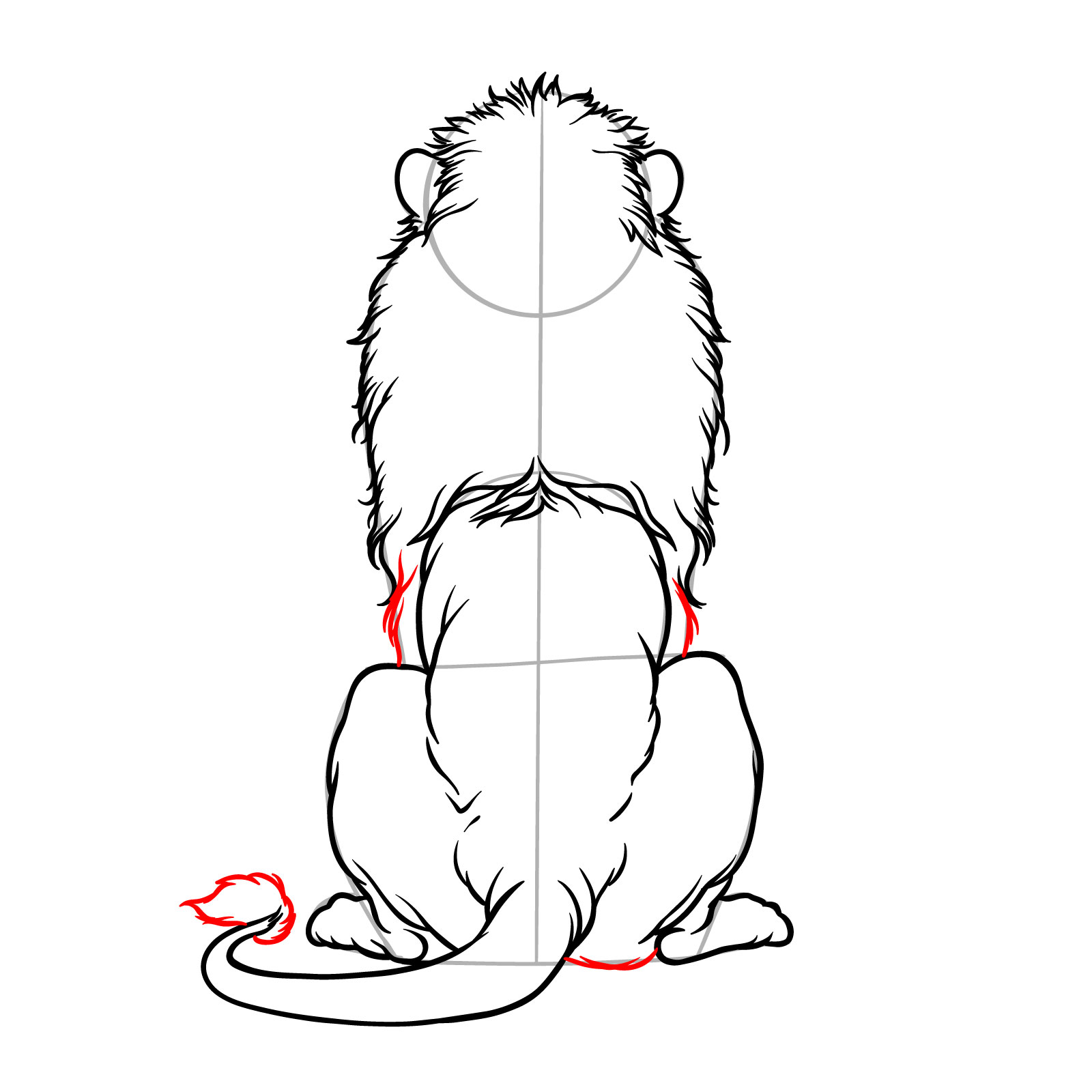 Step 10 in sketching a sitting lion from the back view, detailing the body and adding the tuft