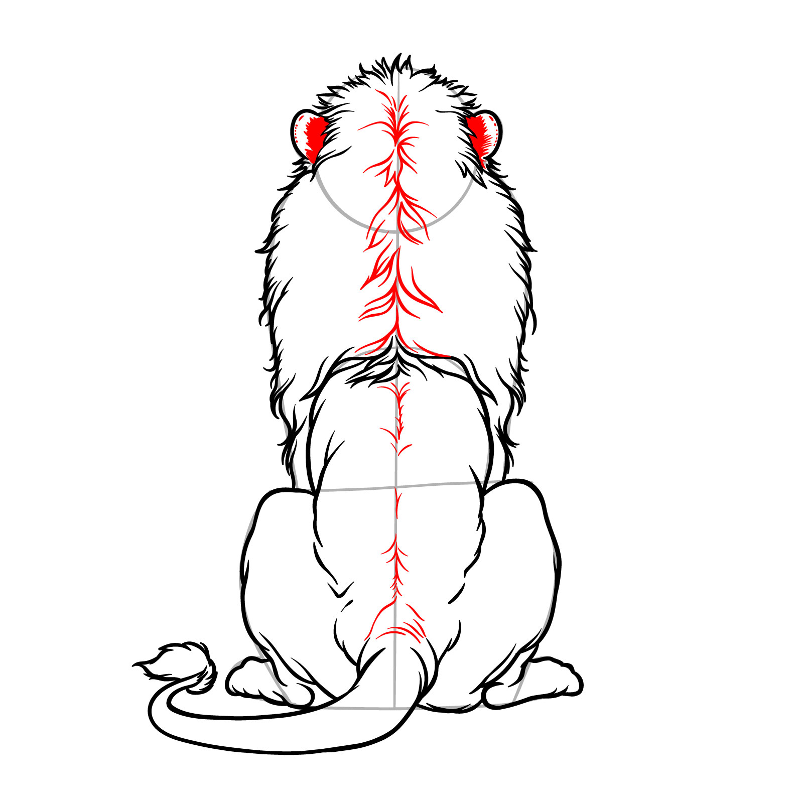 Step 11 in illustrating a sitting lion from the back view, shading ears and adding fur on the back