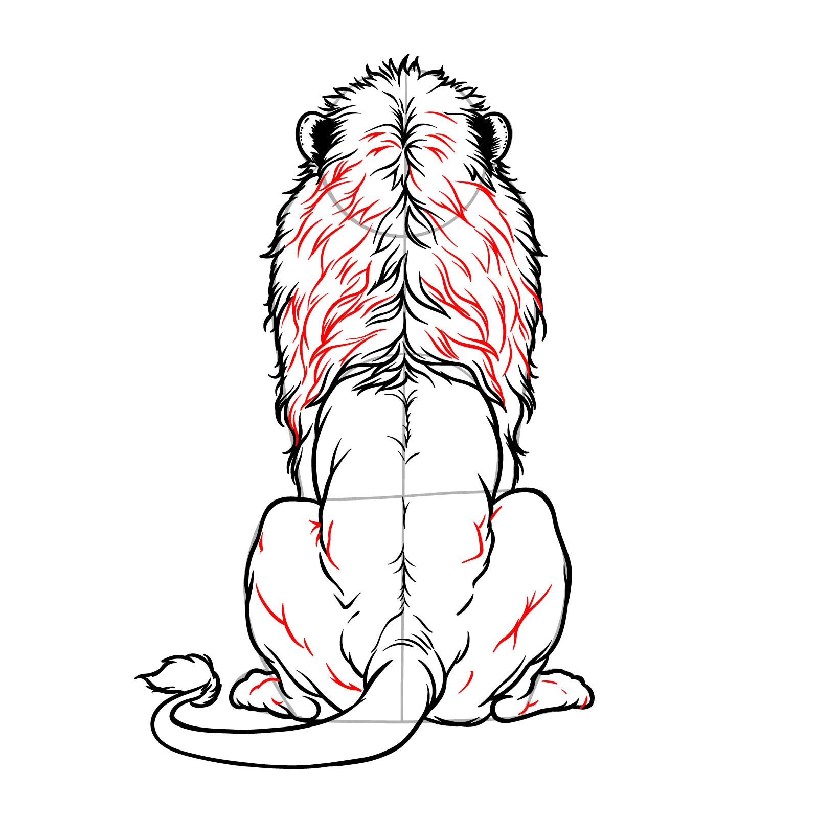 Step 12 in the guide for drawing a sitting lion from the back view, adding fur texture and muscle lines