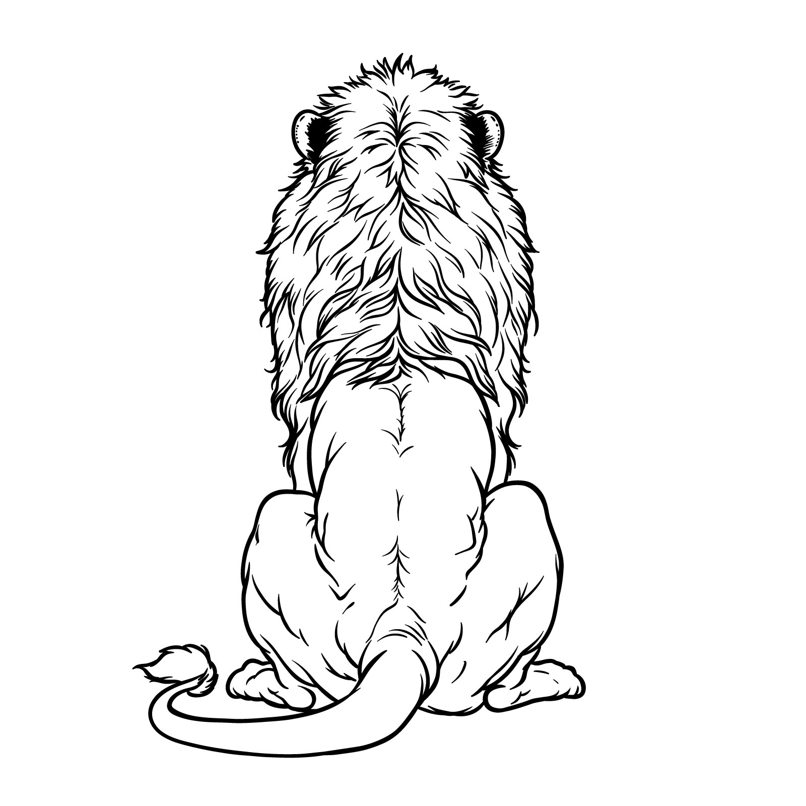 How to draw a lion back view