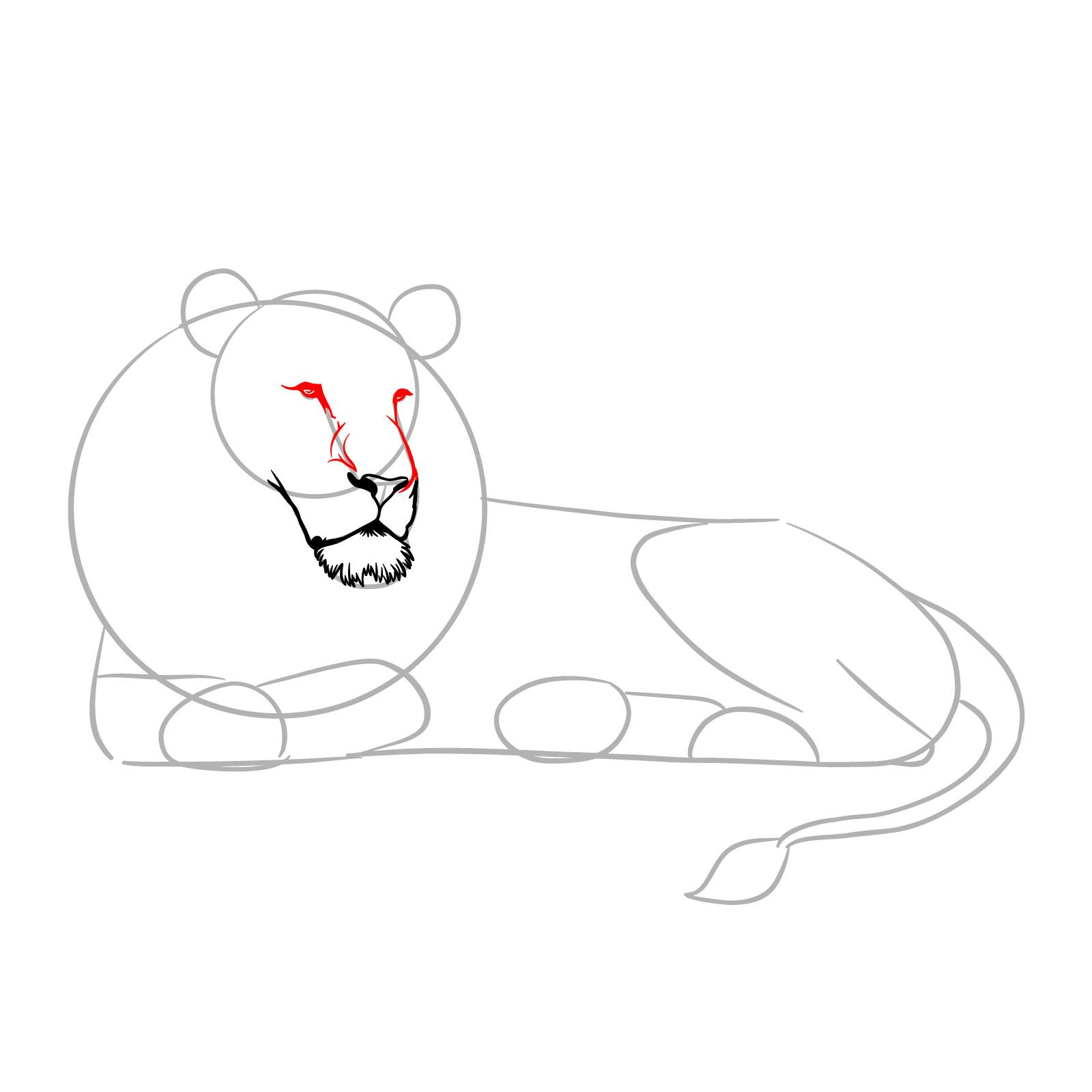How to draw a lying lion in side view - Step 5: Detailing the eyes and nose bridge