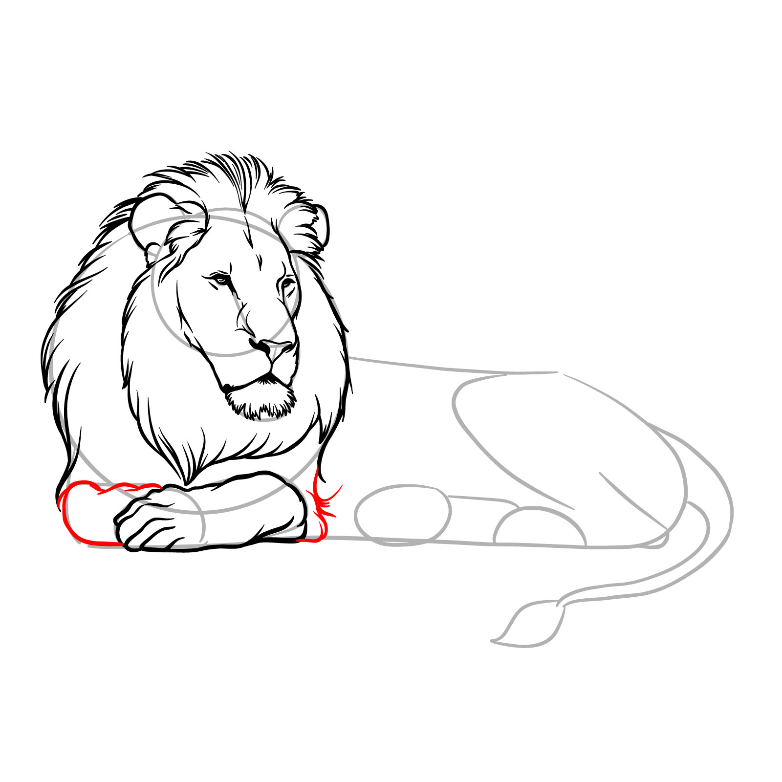 Lying lion drawing - Step 10: Sketching the second front leg