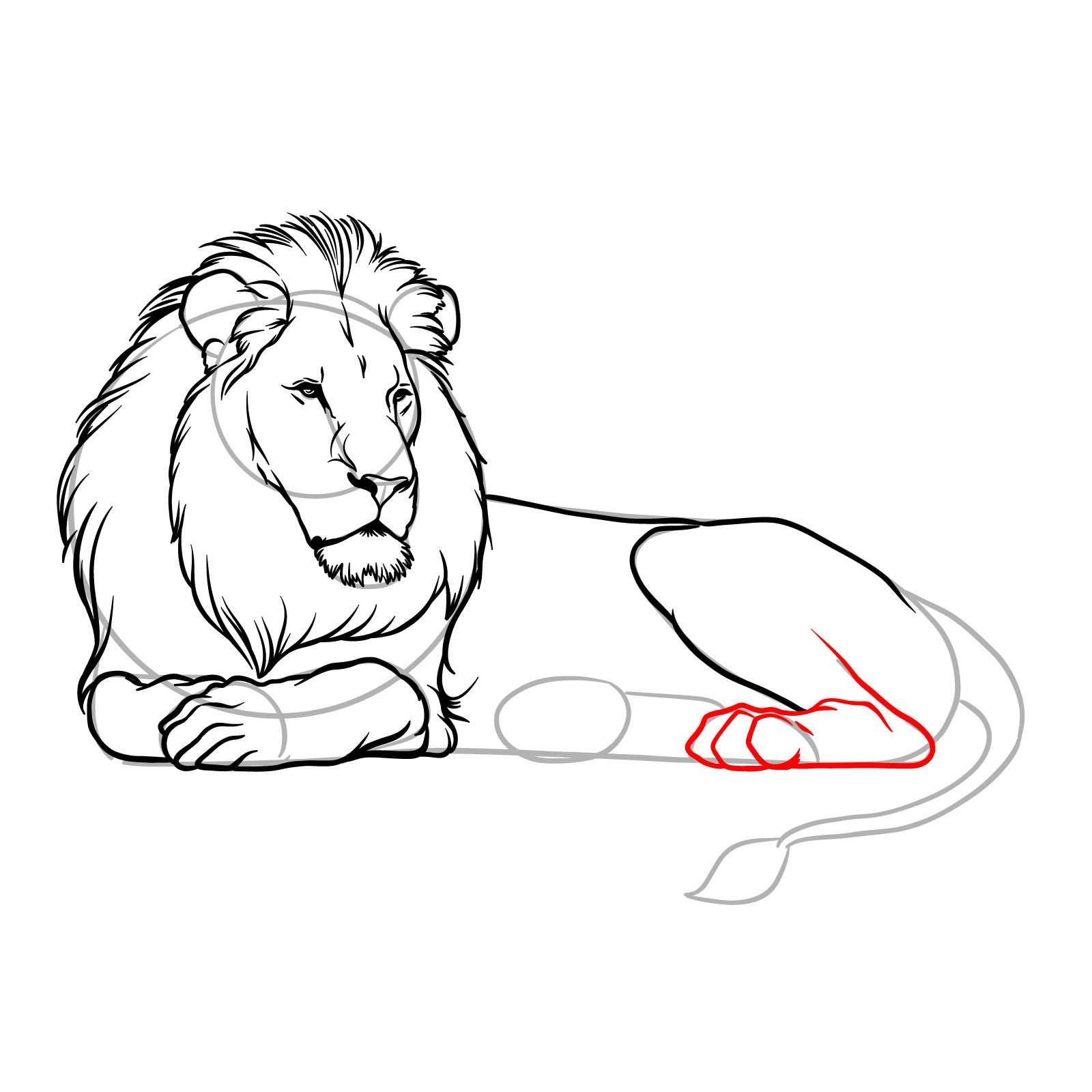 Lying lion drawing - Step 12: Completing the rear leg with toes