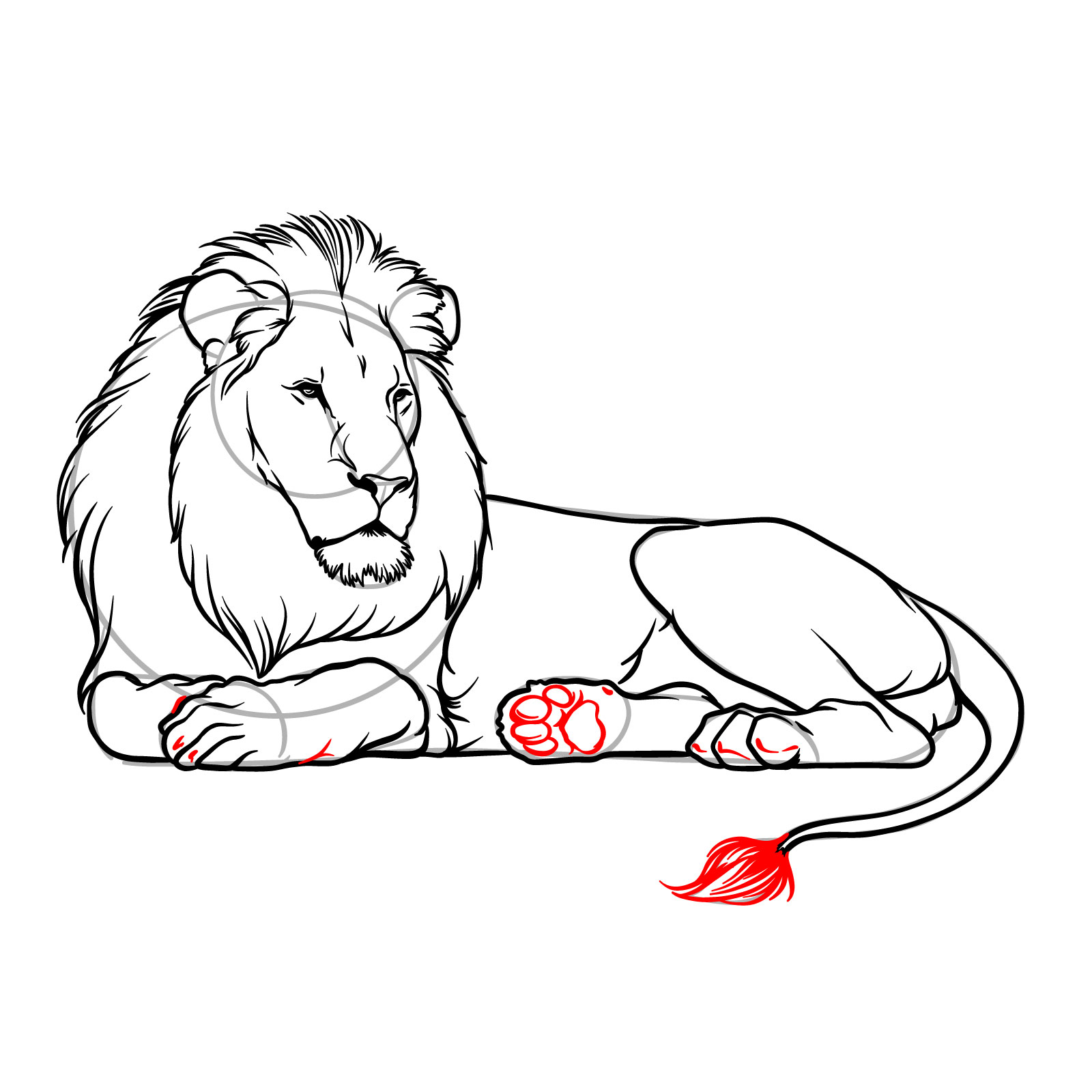 How to draw a lying lion in side view - Step 15: Detailing the second rear leg and adding paw pads
