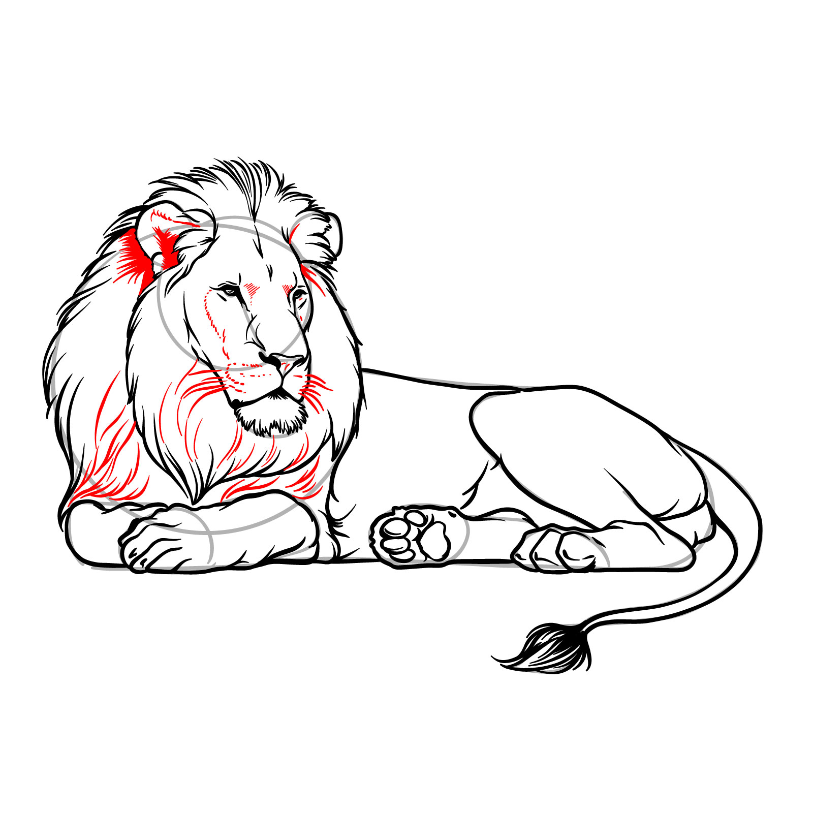 Lying lion drawing - Step 16: Shading ears and adding mane texture