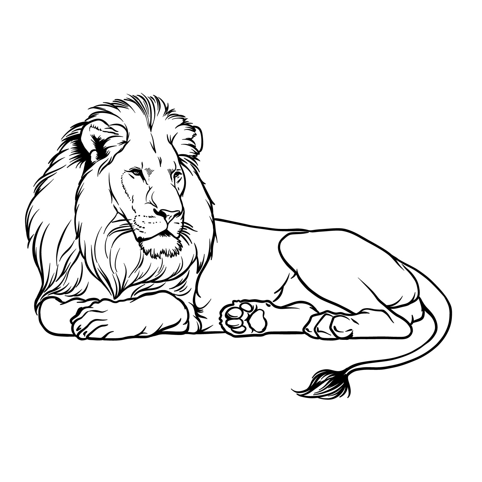 Lying lion side view drawing - easy step-by-step guide