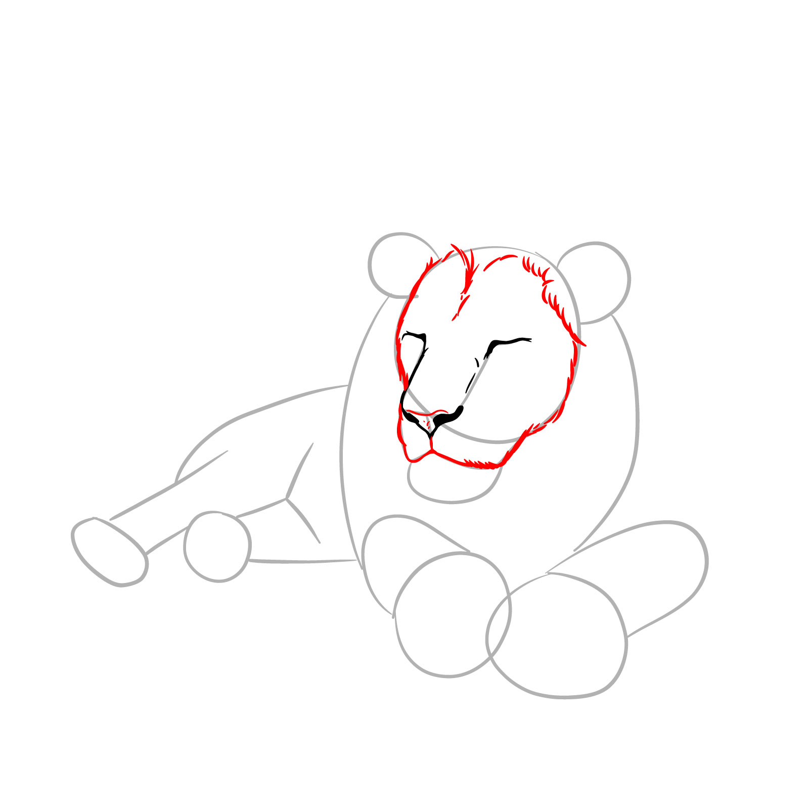Sleeping lion drawing - Step 4: Defining the facial frame