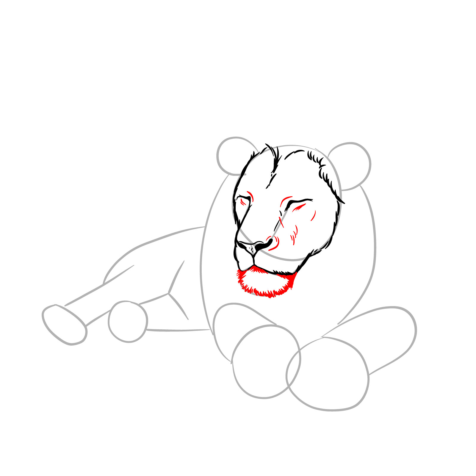 How to draw a sleeping lion in front view - Step 5: Chin and facial details