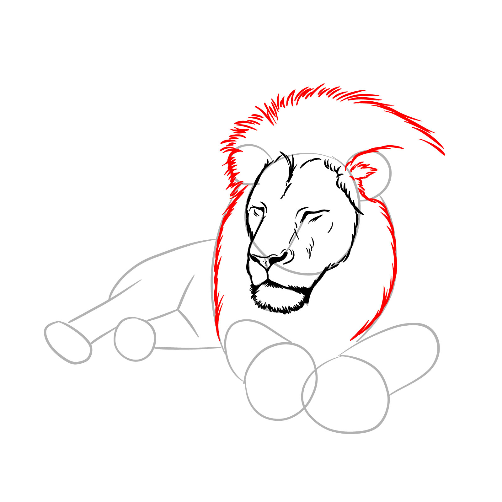 Sleeping lion drawing - Step 6: Sketching ear fur and mane