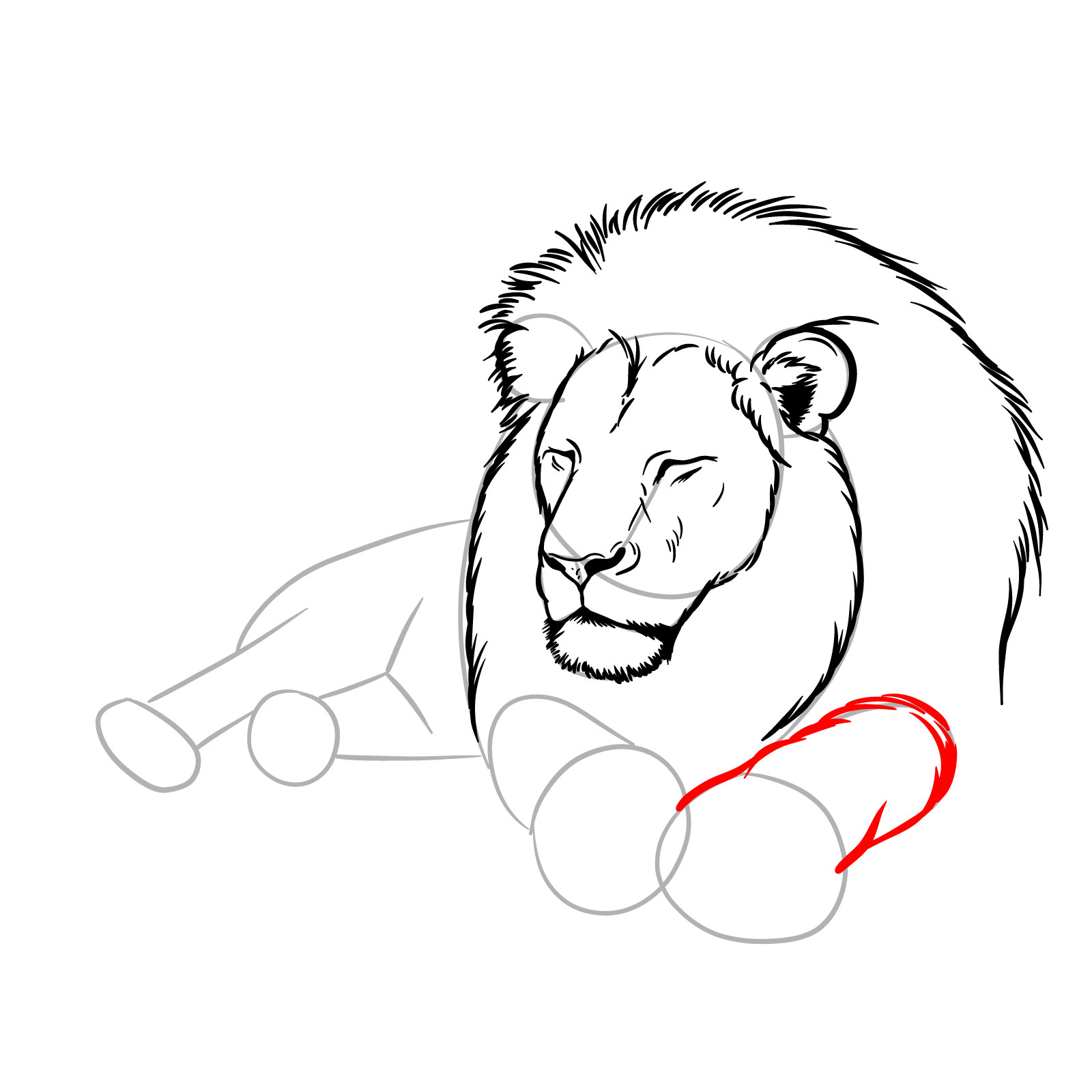 Sleeping lion drawing - Step 8: Outlining the first visible leg