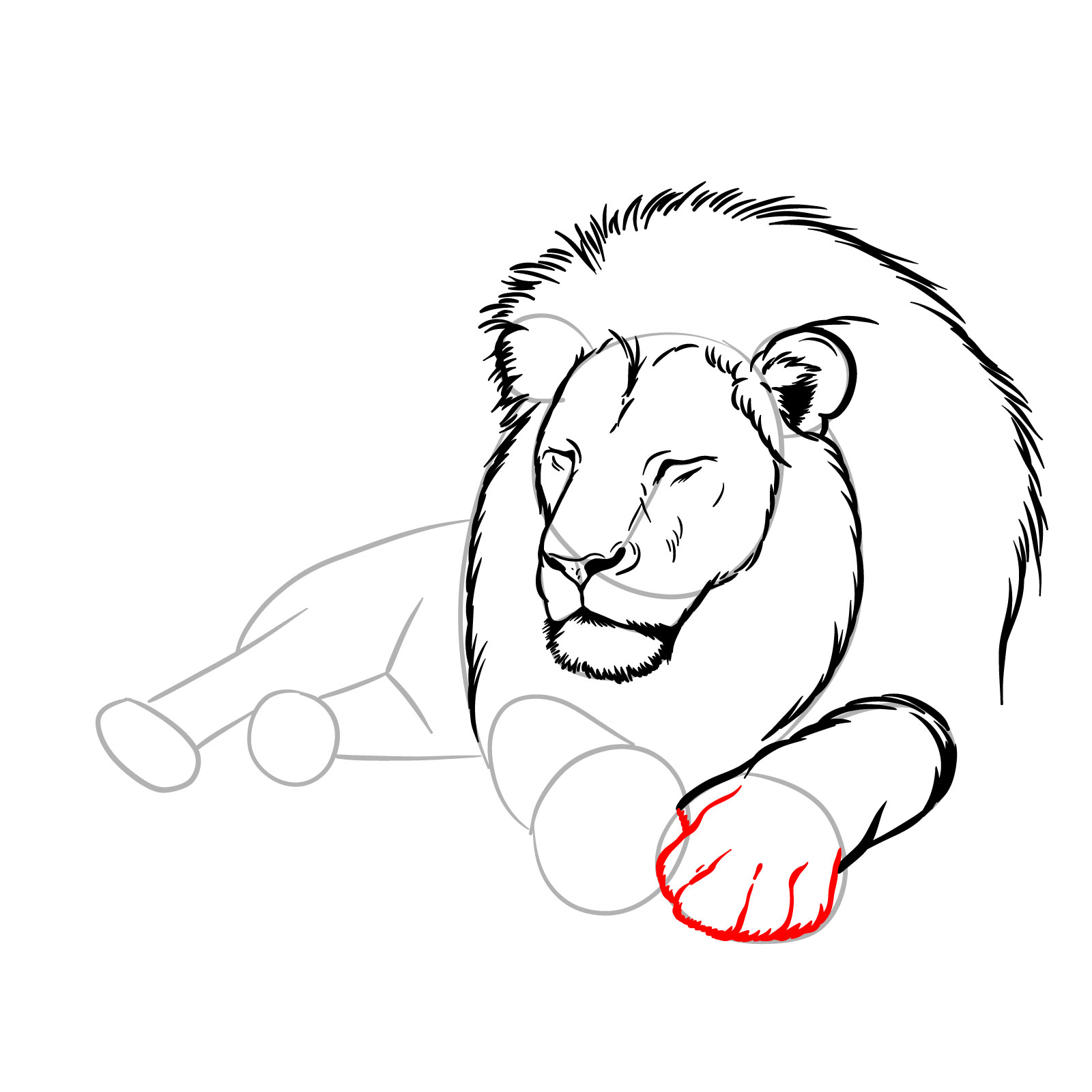 How to draw a sleeping lion in front view - Step 9: Adding toes to the front leg