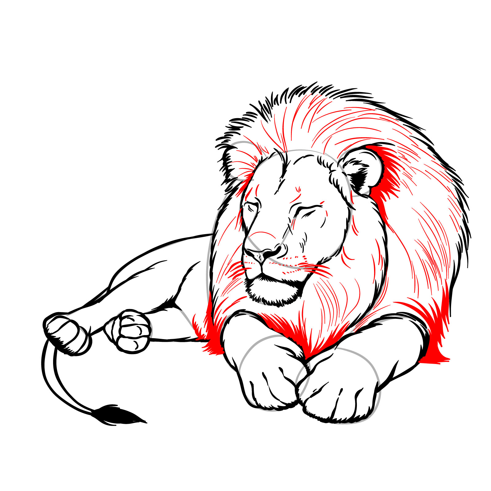 How to draw a sleeping lion in front view - Step 15: Adding facial and mane details