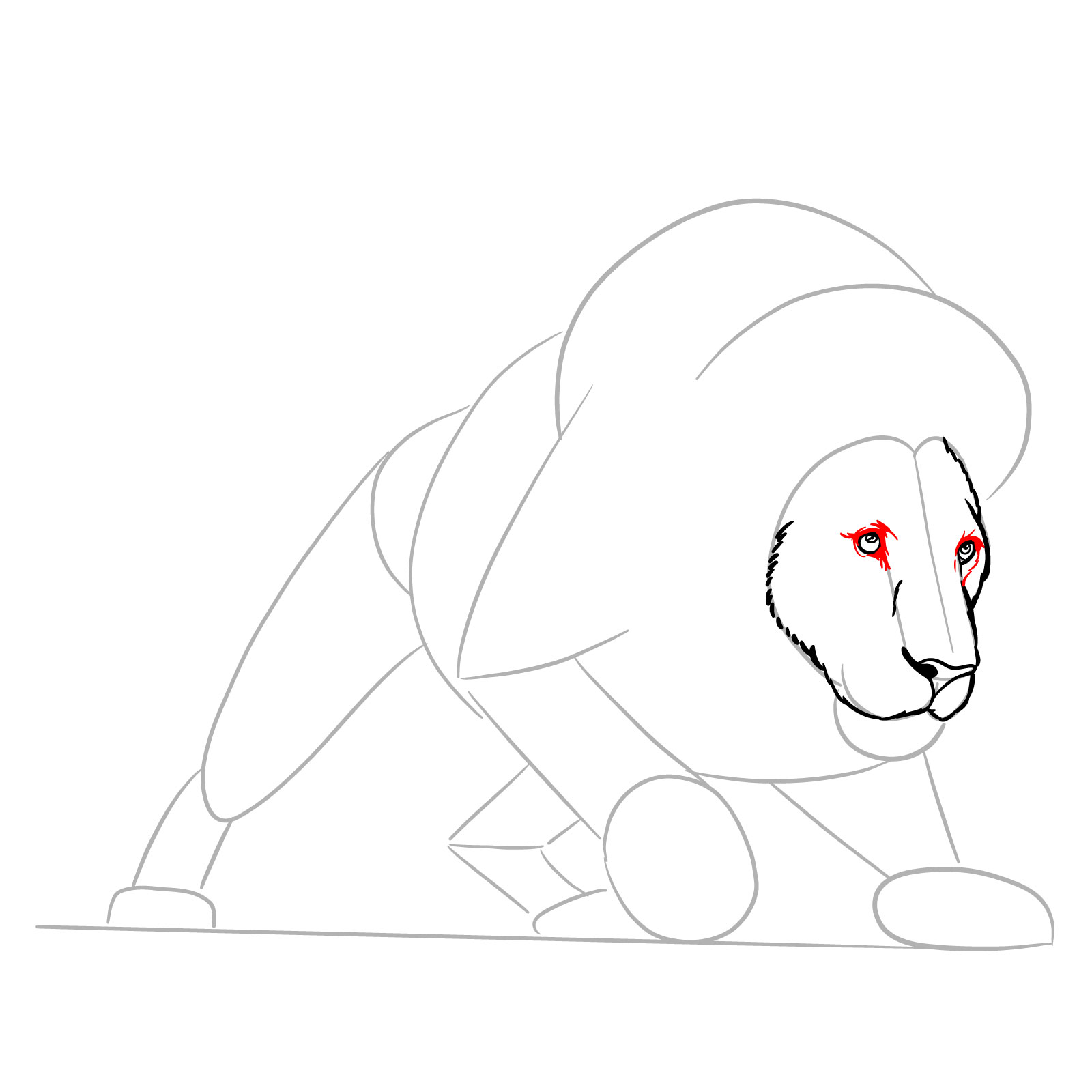 How to draw a hunting lion - Step 7: Enhancing the area around the eyes