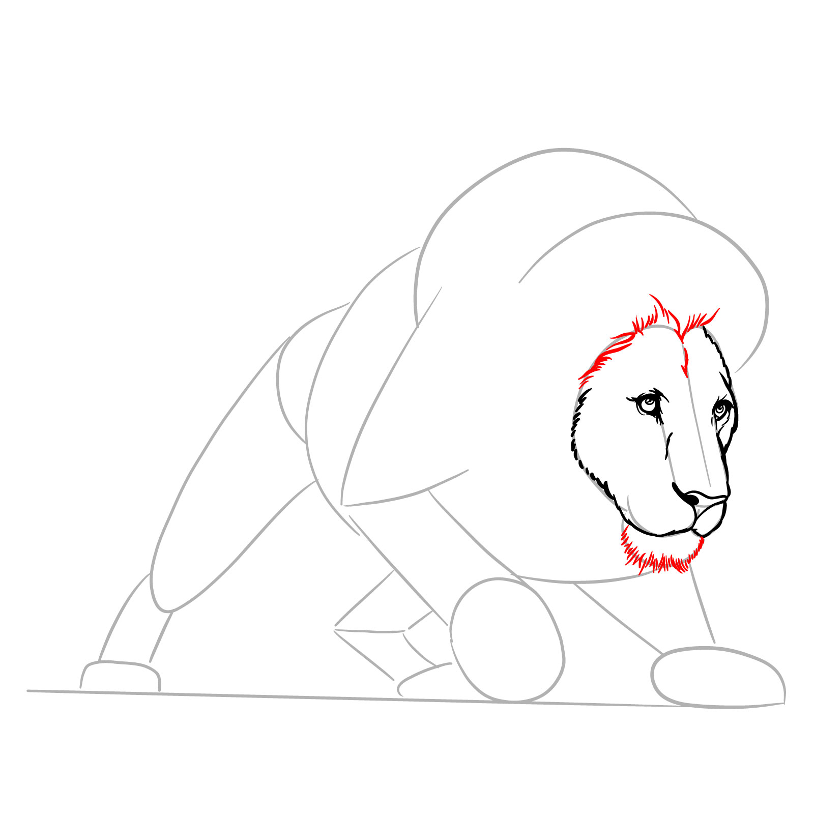 Hunting lion drawing - Step 8: Chin and face fur texturing