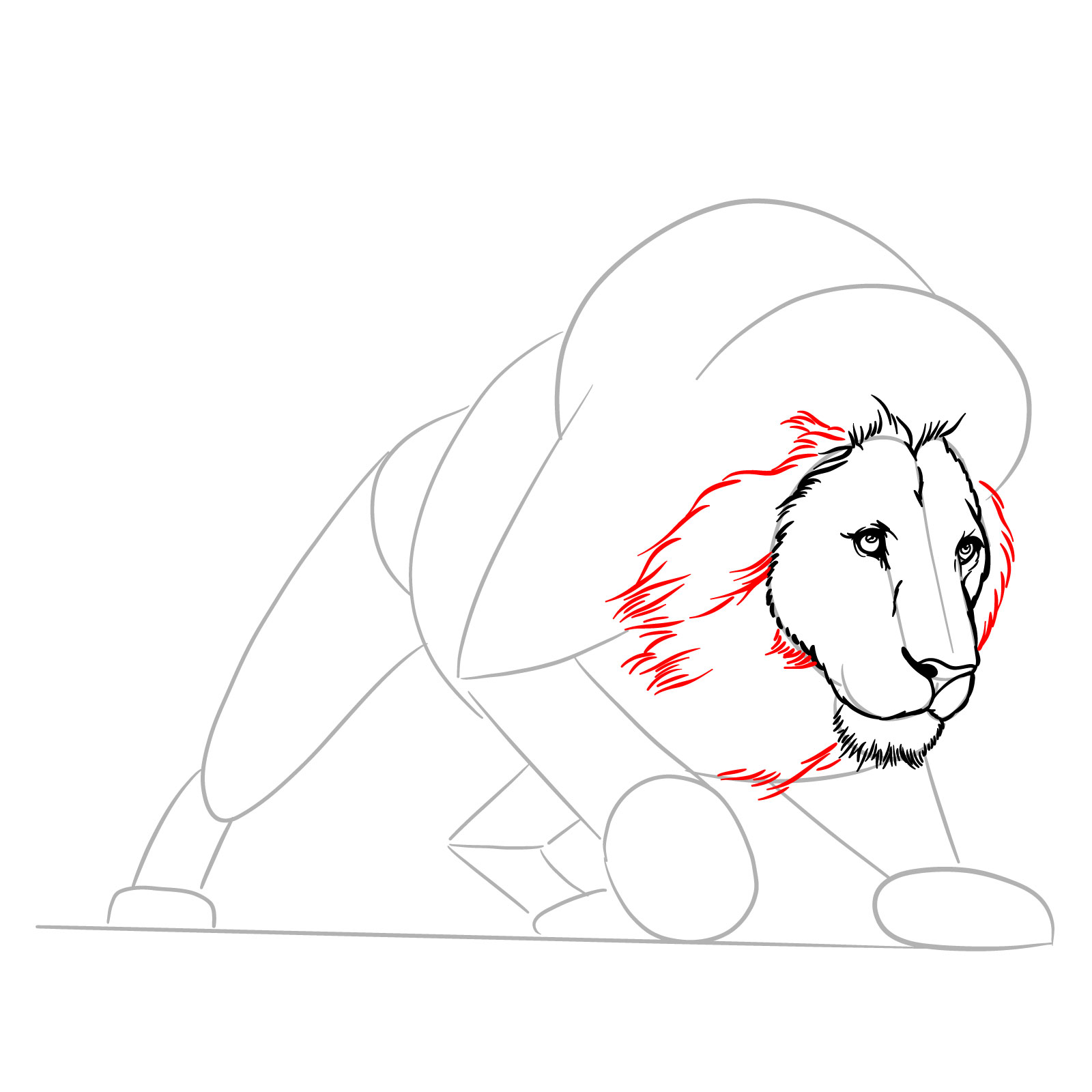 How to draw a hunting lion - Step 9: Sketching the mane