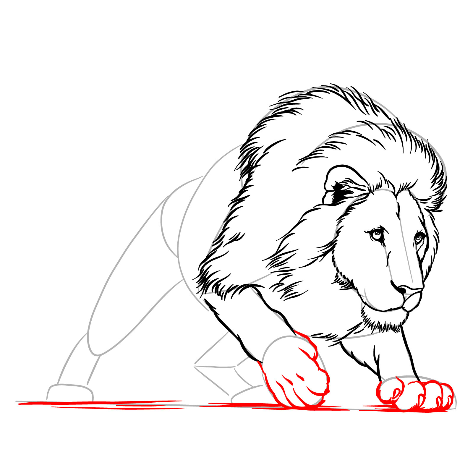 How to draw a hunting lion - Step 13: Adding pads and toes