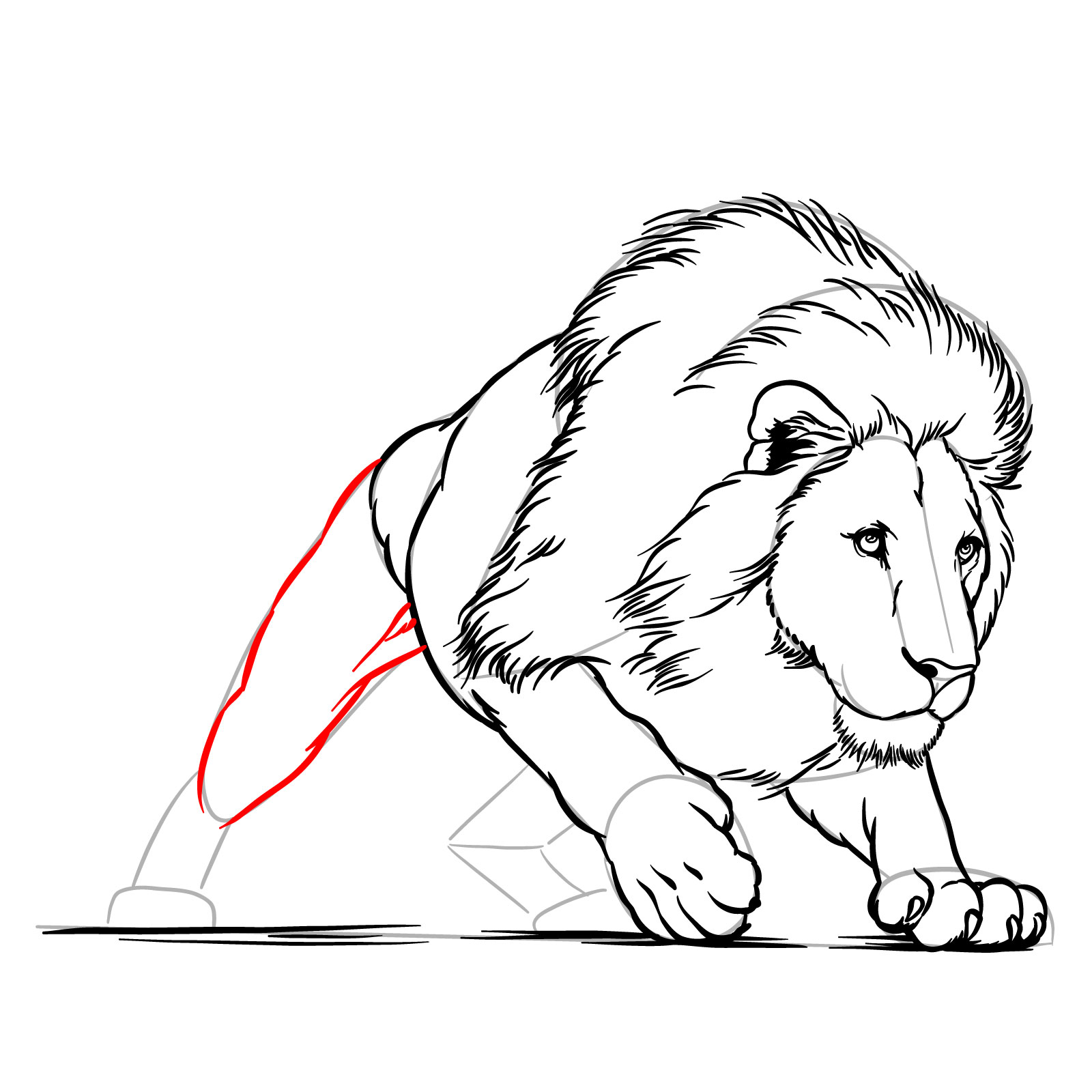 How to draw a hunting lion - Step 15: Sketching the first rear leg