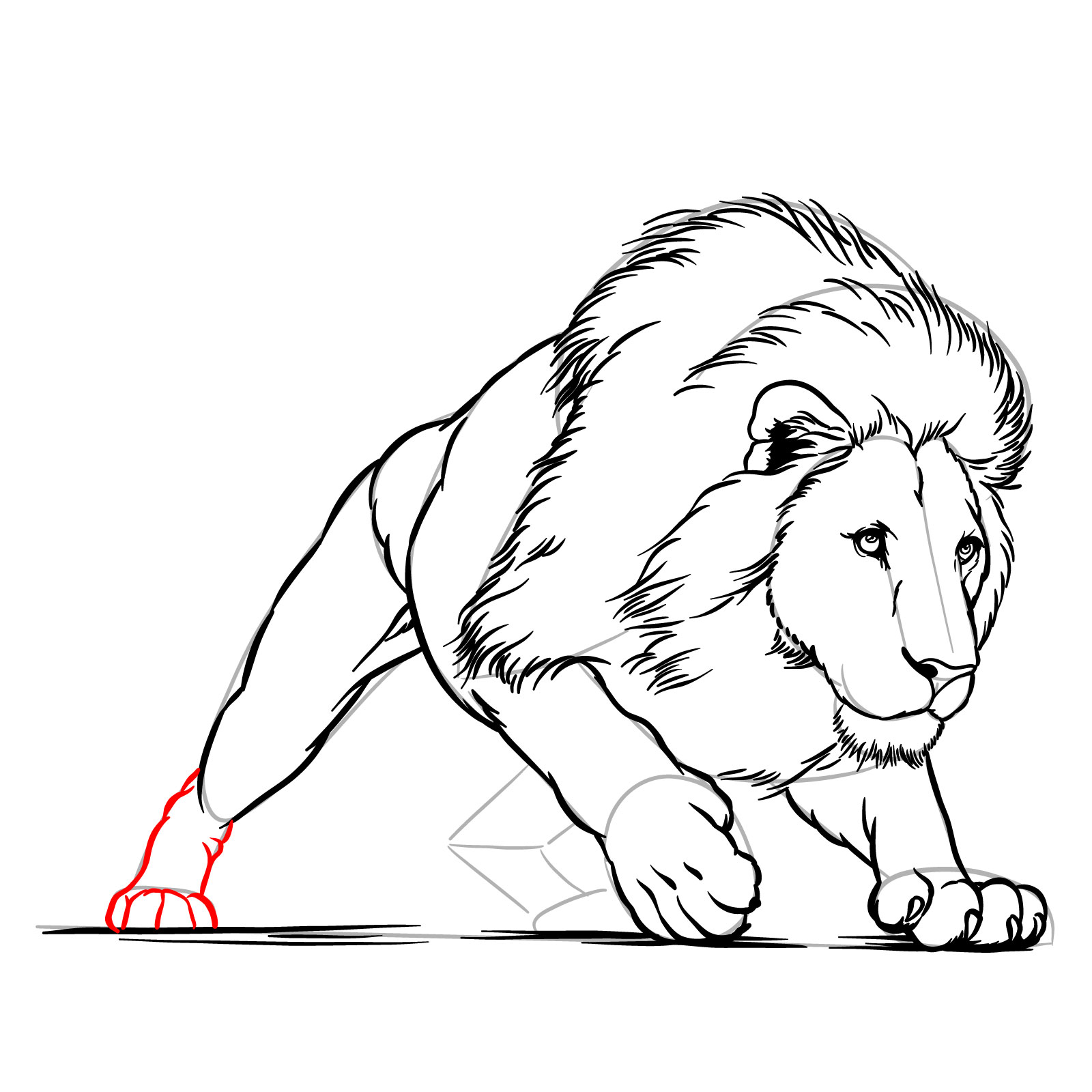 Hunting lion drawing - Step 16: Completing the first rear leg