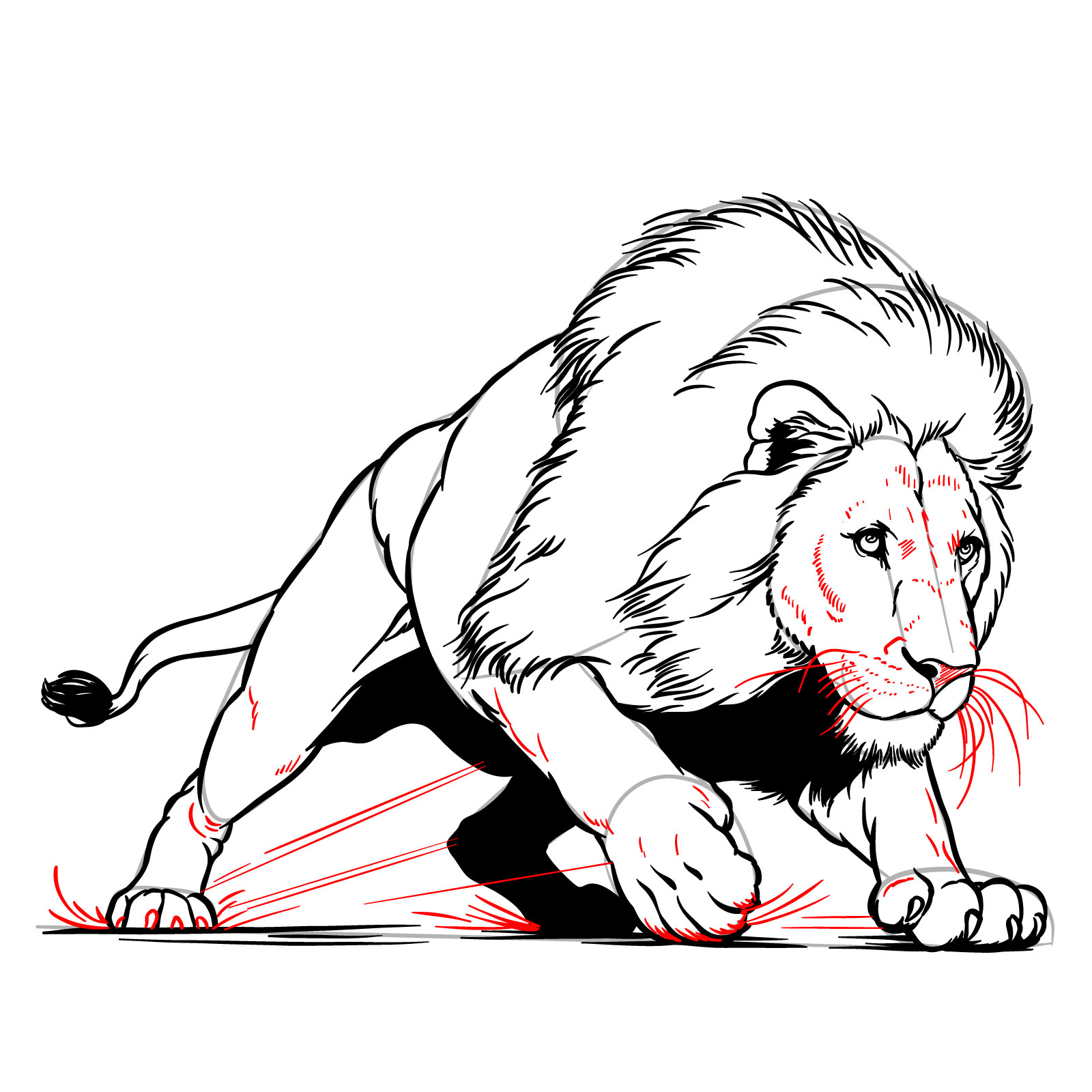 Hunting lion drawing - Step 18: Final detailing