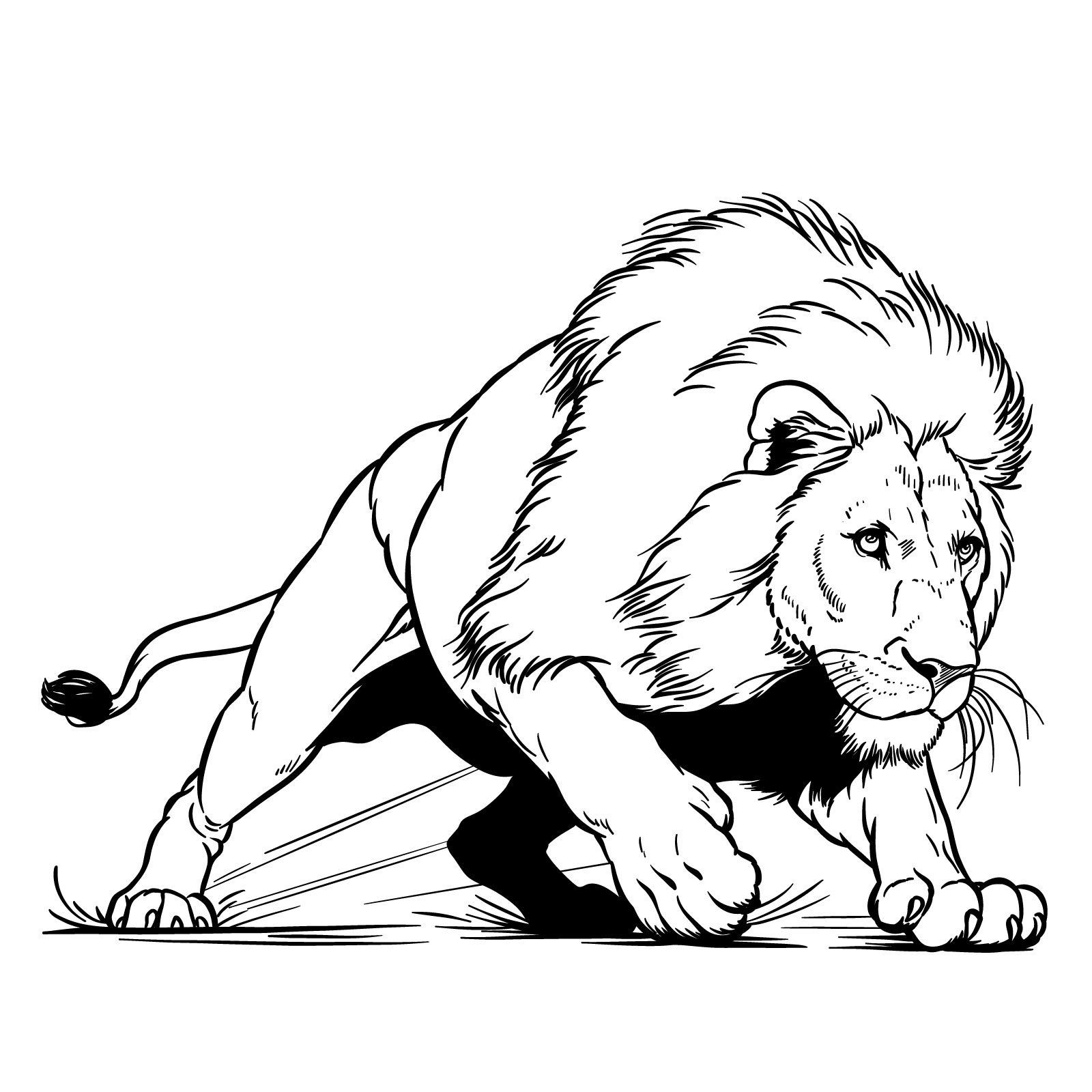 Fighting lion drawing - action pose sketch guide