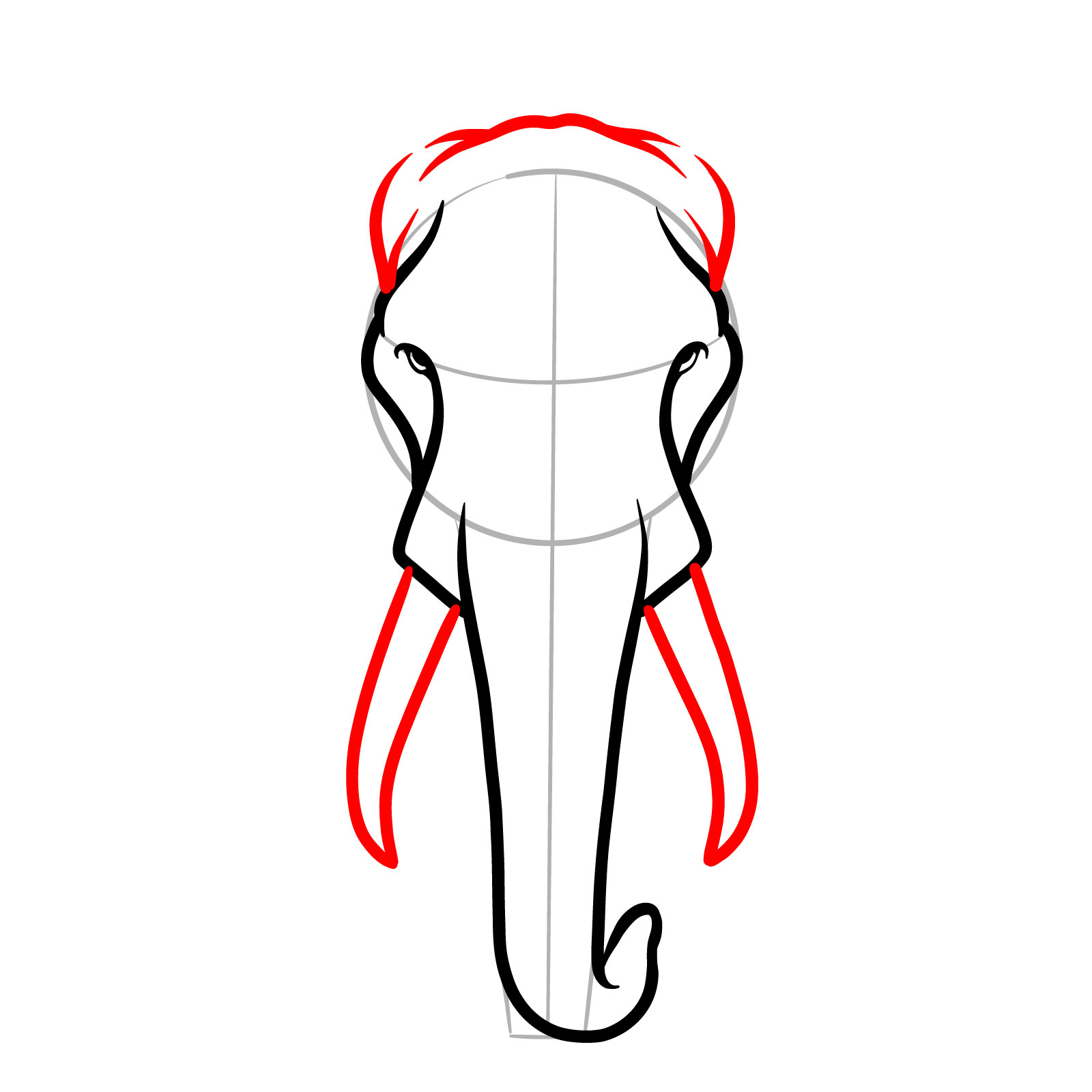 Elephant’s tusks and top of the head outlined in drawing - step 07