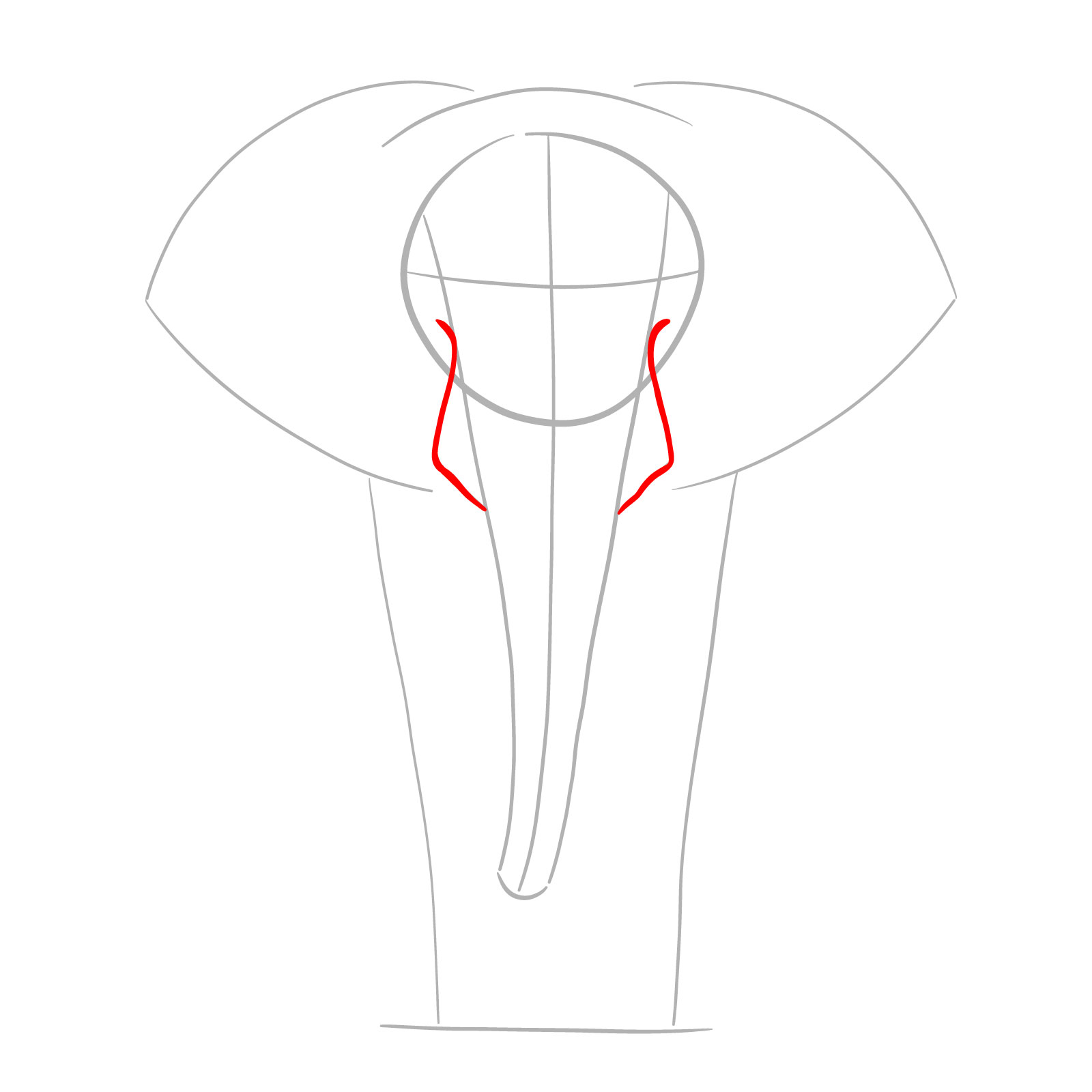 Detailed base of the tusks in elephant full body drawing from the front view - step 03