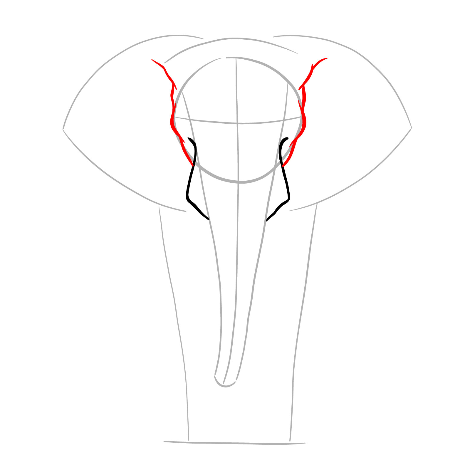 Detailed sides of the elephant's head in full body front view drawing - step 04